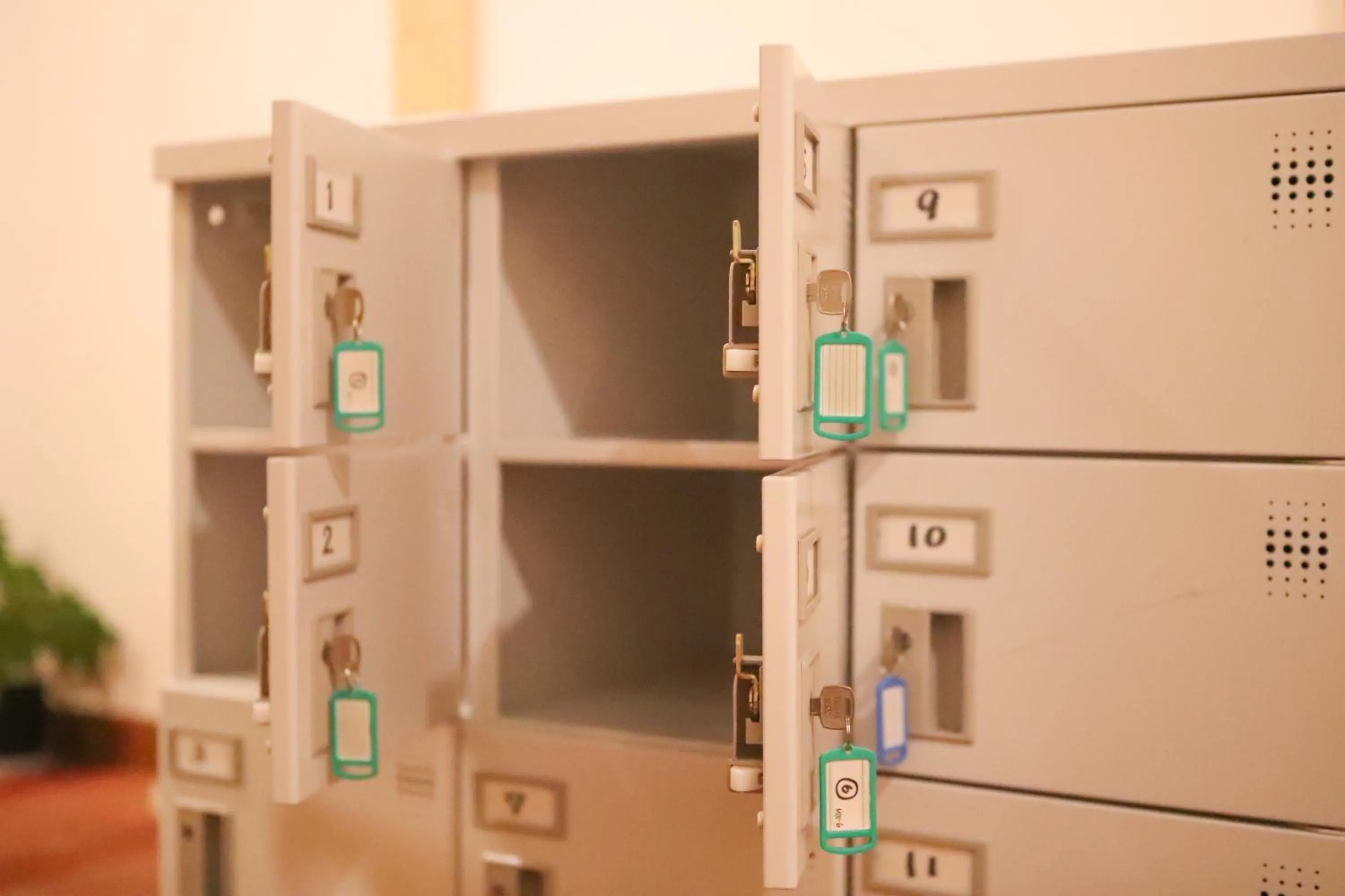 Area and facilities in SappoLodge