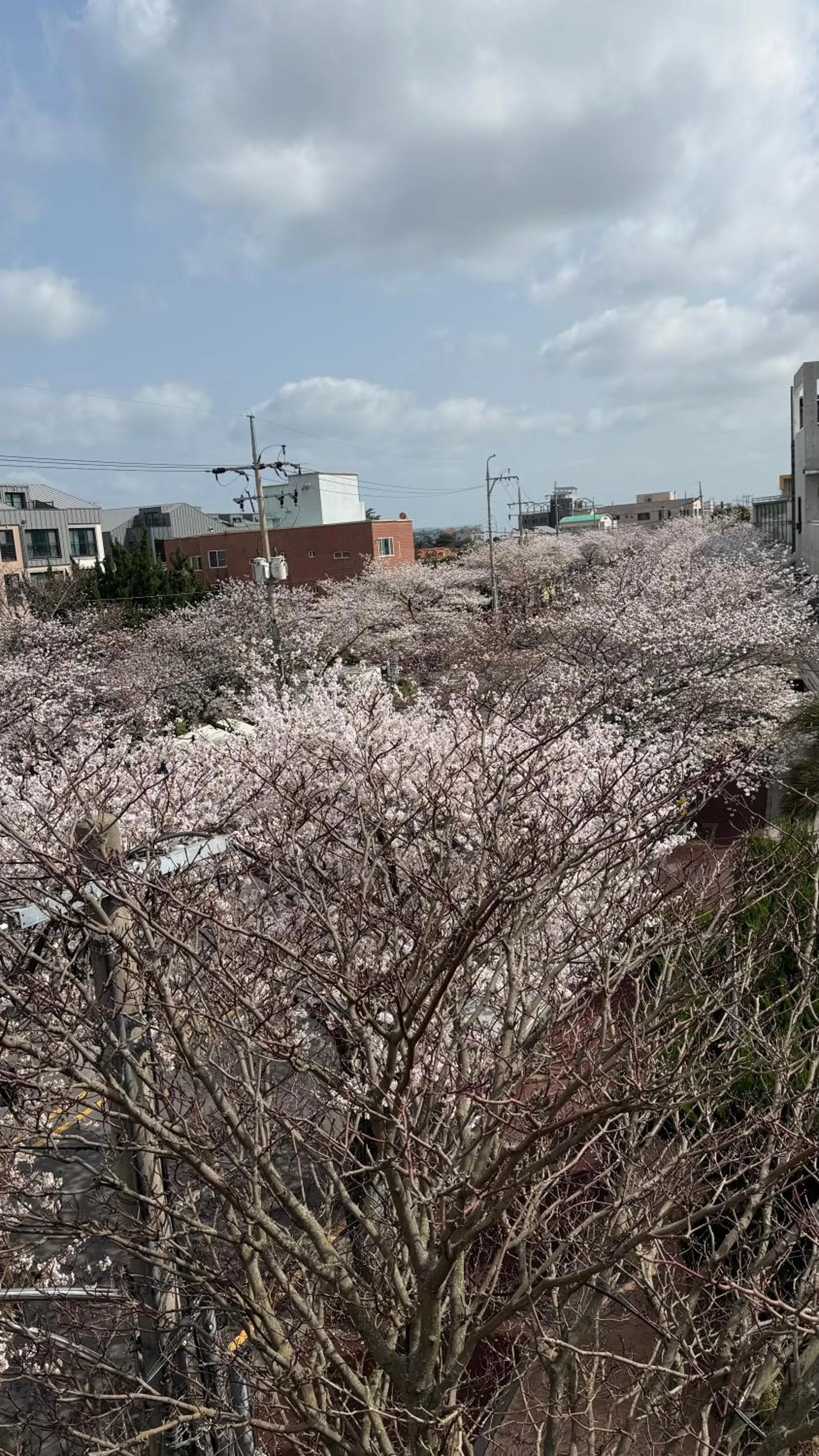 Property building in Ganderak Guesthouse