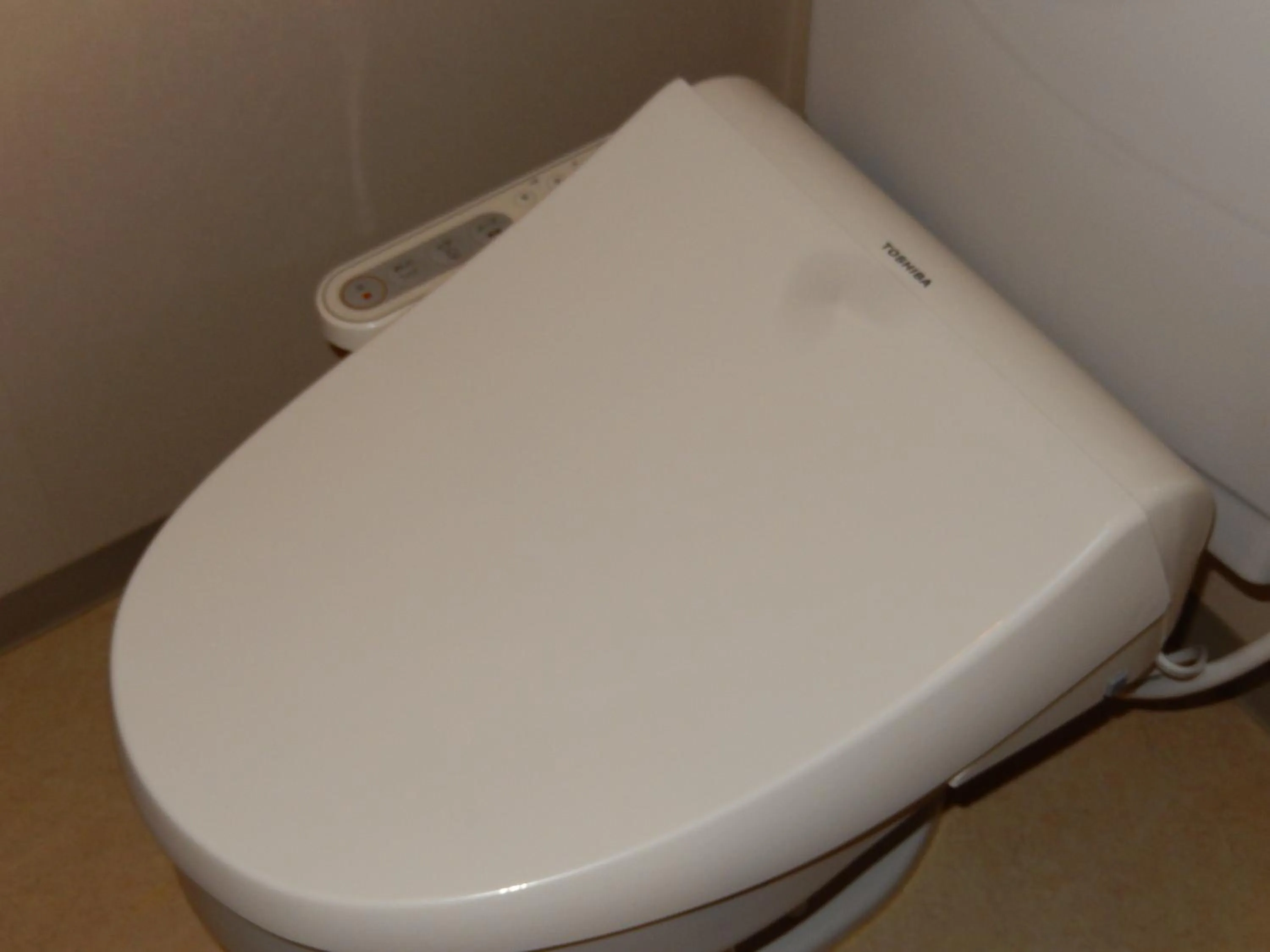 Toilet in Hotel Daisen Shirogane