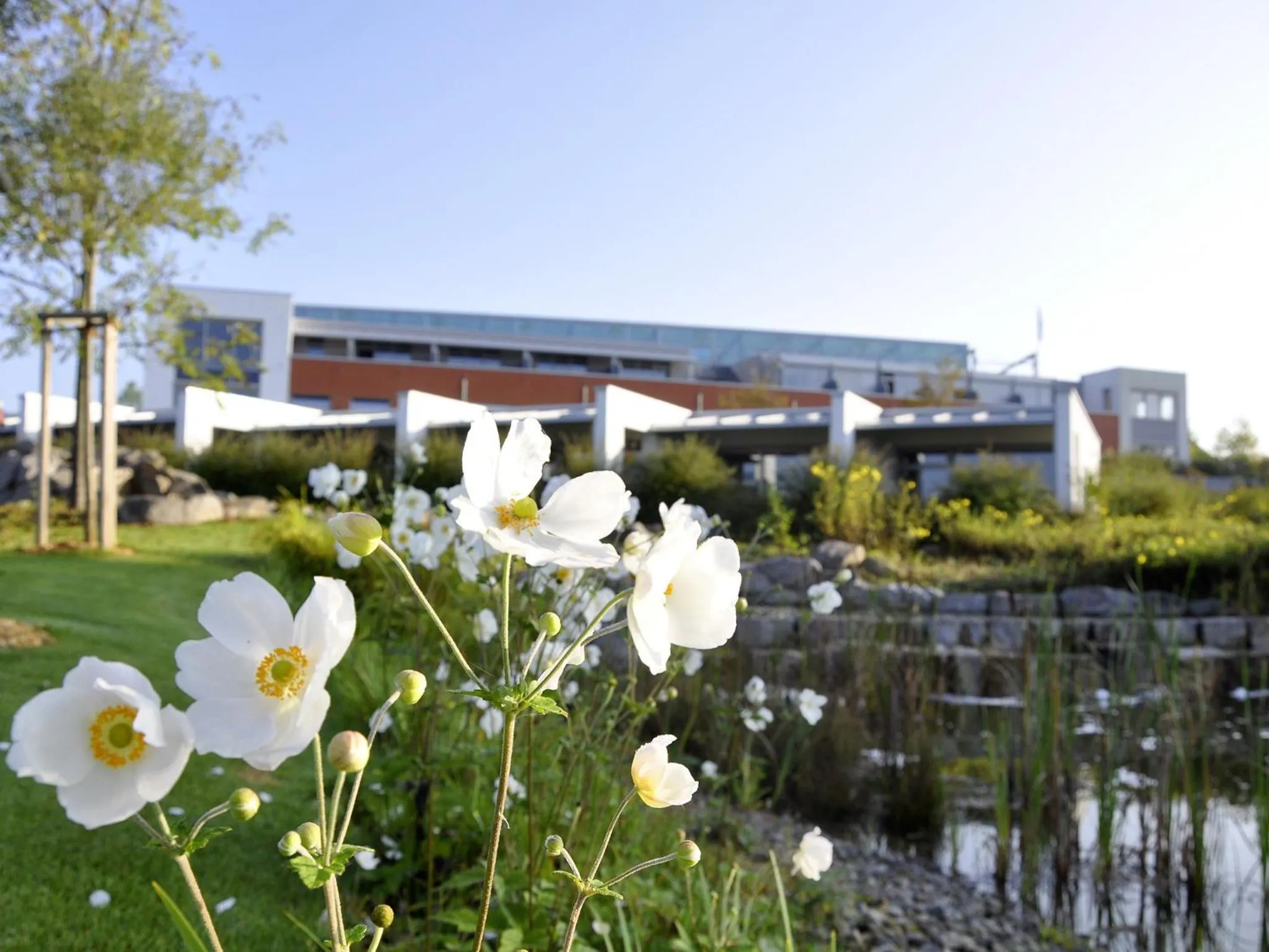 Spring in Seminarhotel in der Manfred-Sauer-Stiftung