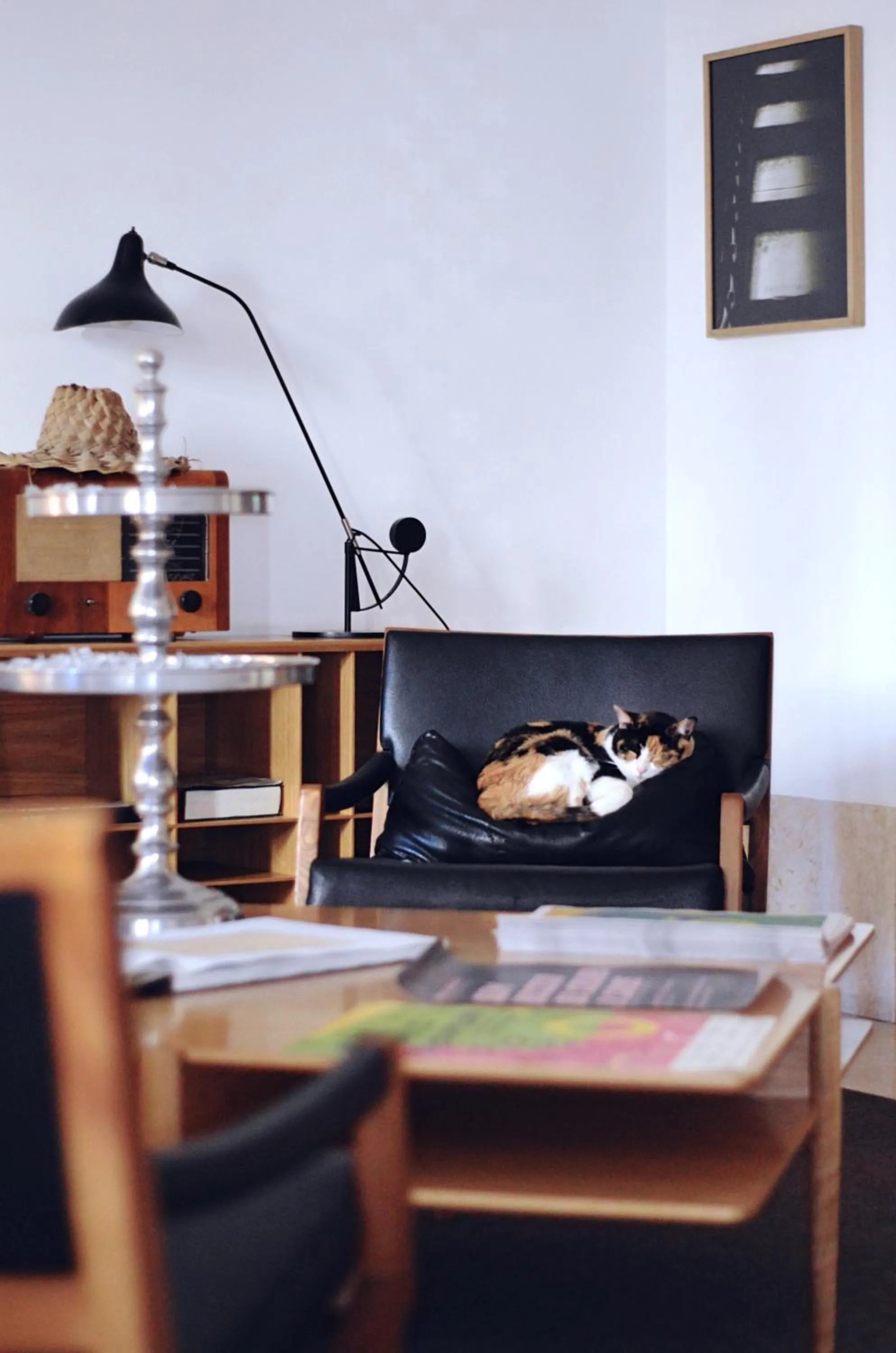 Animals in The Late Birds Lisbon - Gay Urban Resort