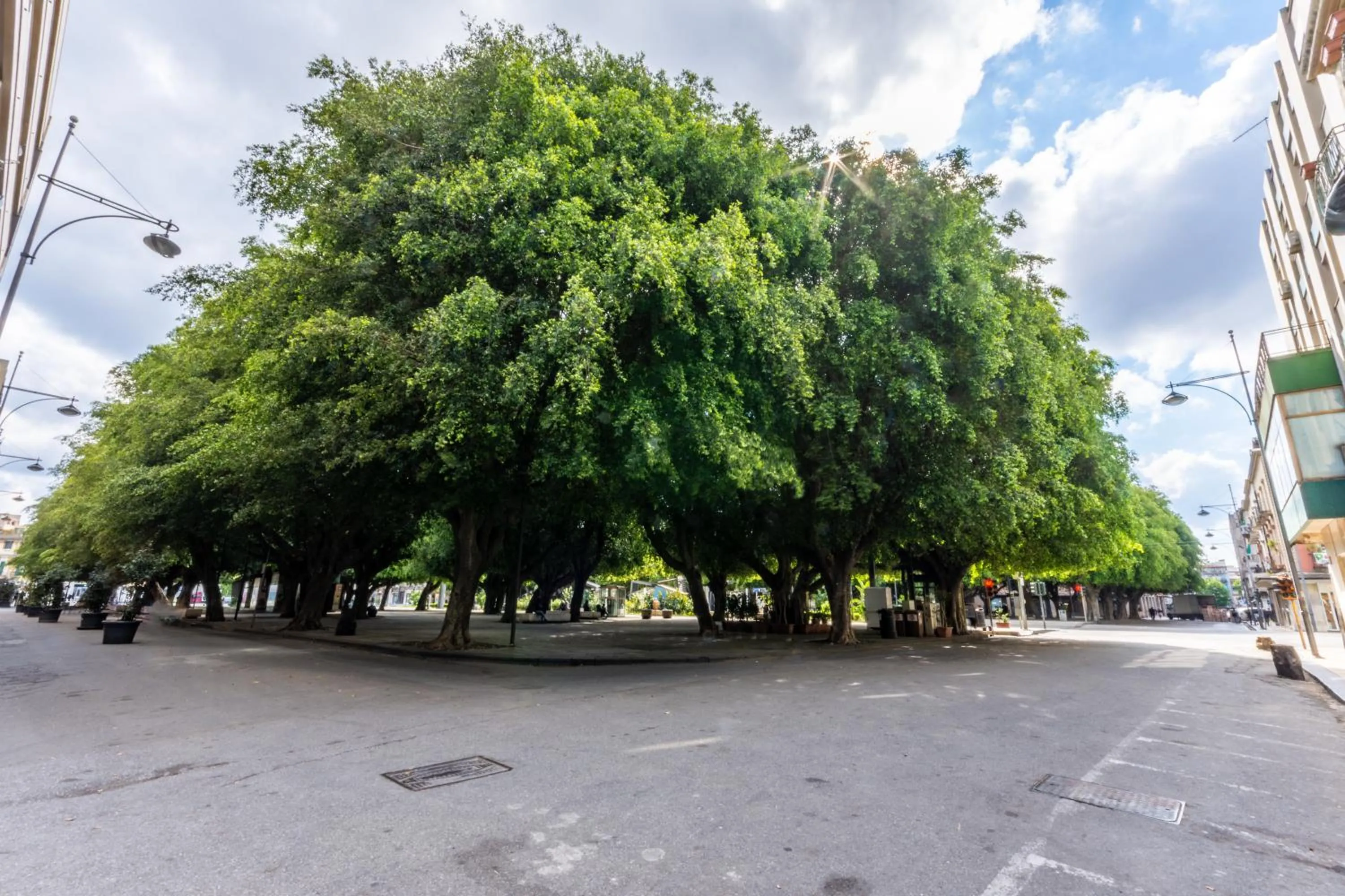 Street view in B&B Cairoli