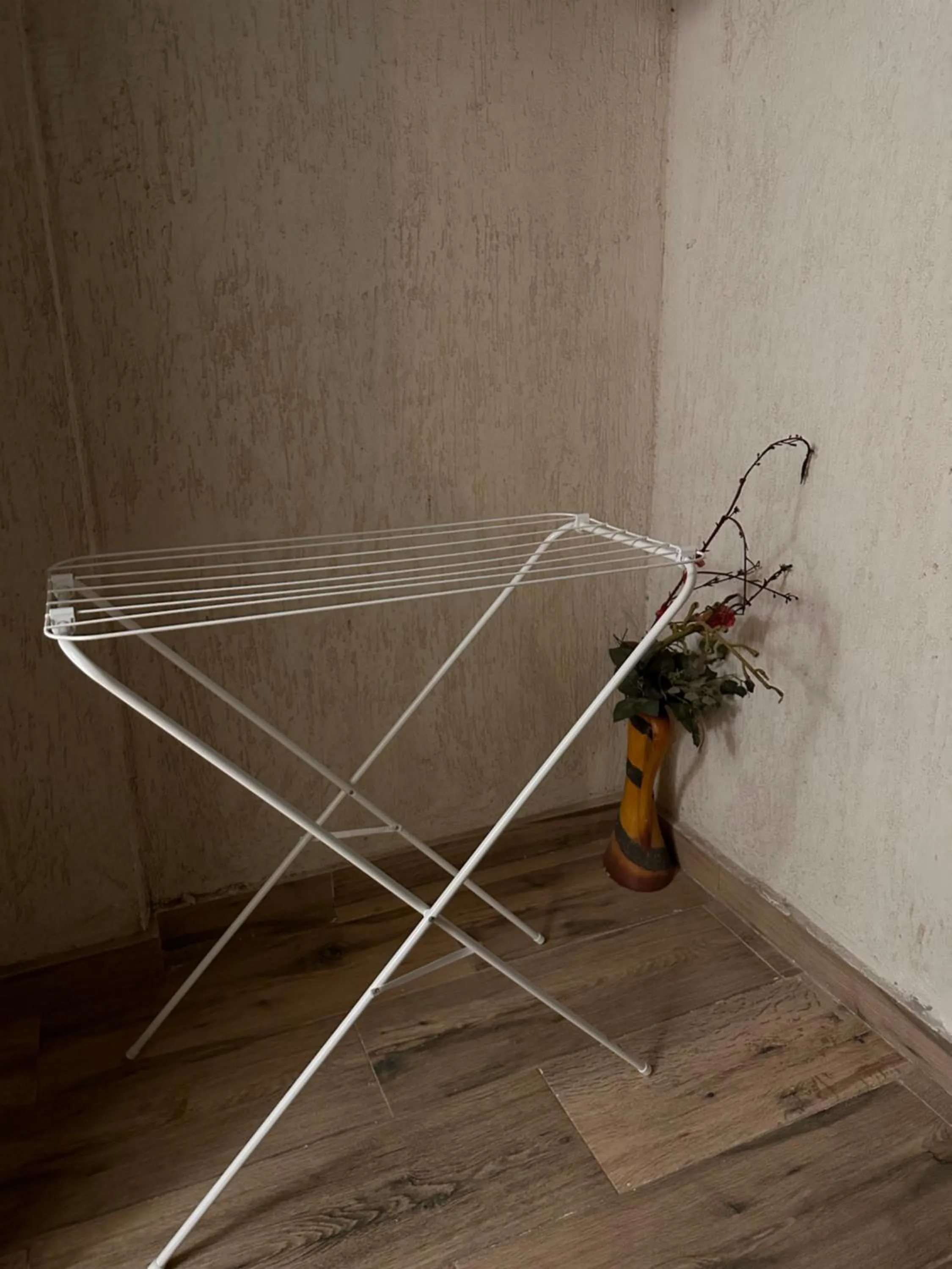 JRE-EG modern aprt Sheikh Zayed