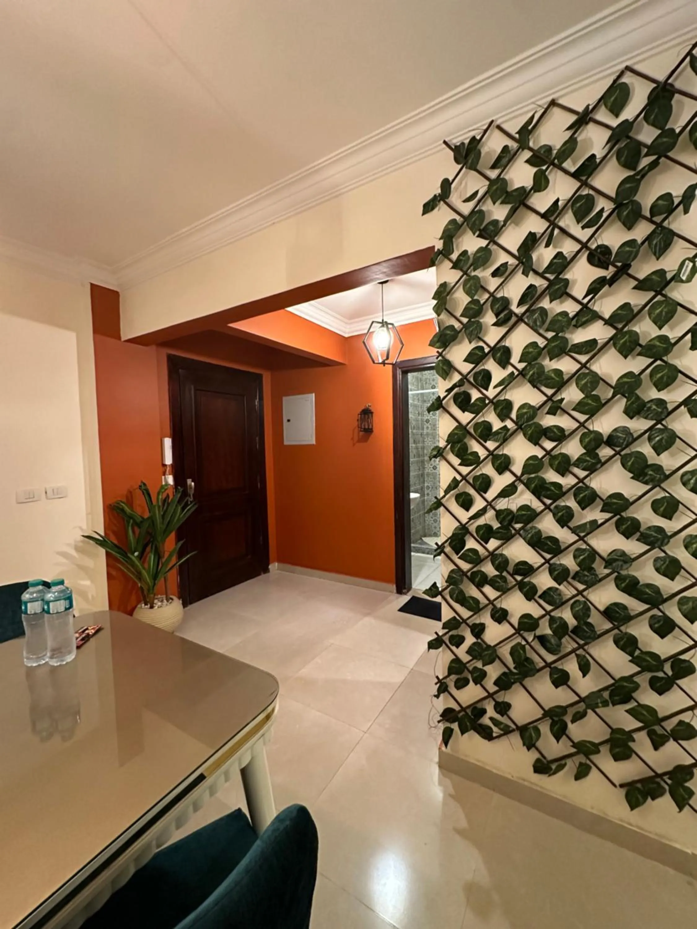 JRE-EG modern aprt Sheikh Zayed