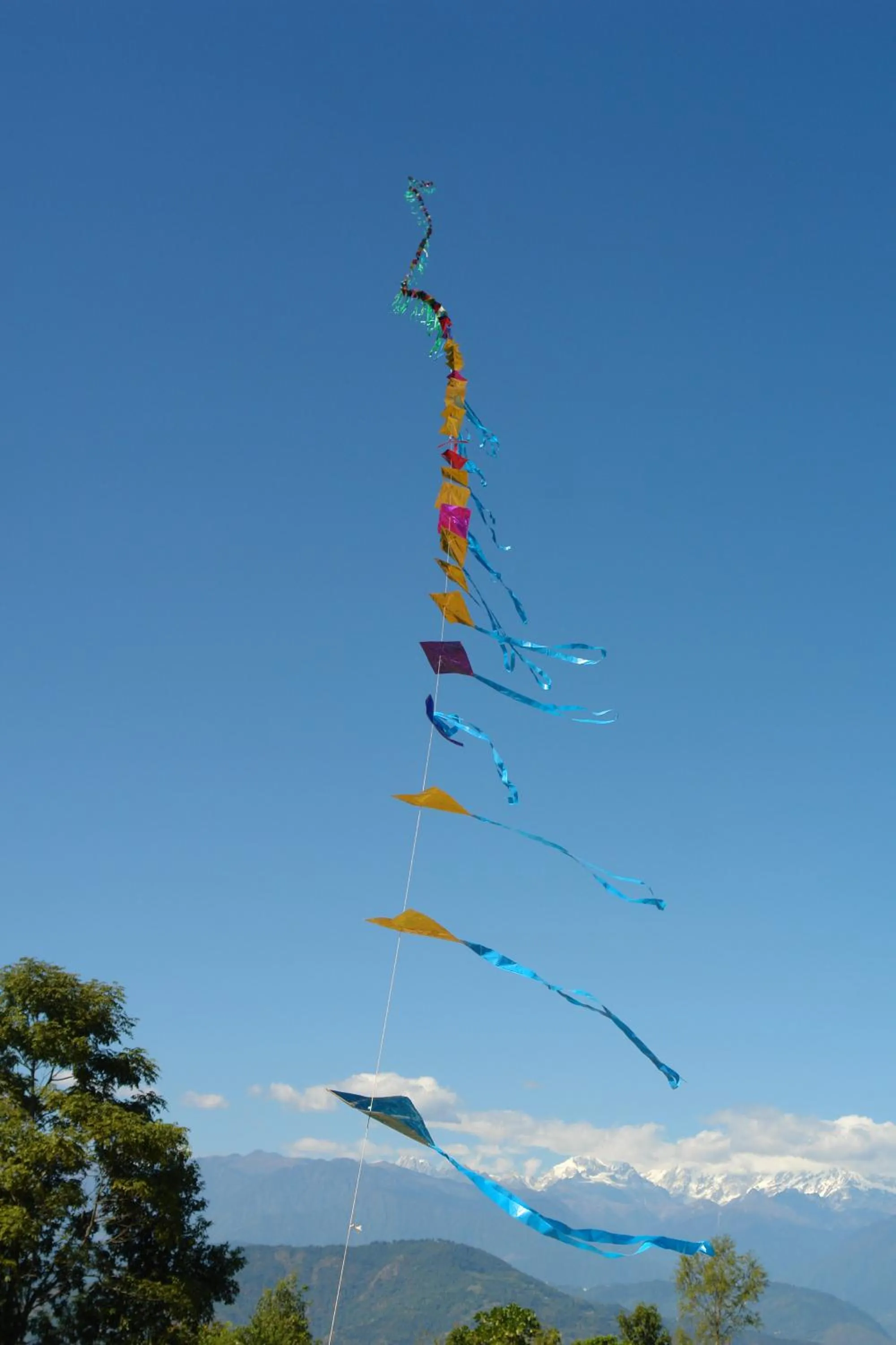 Day in Juniper Residency Hotel