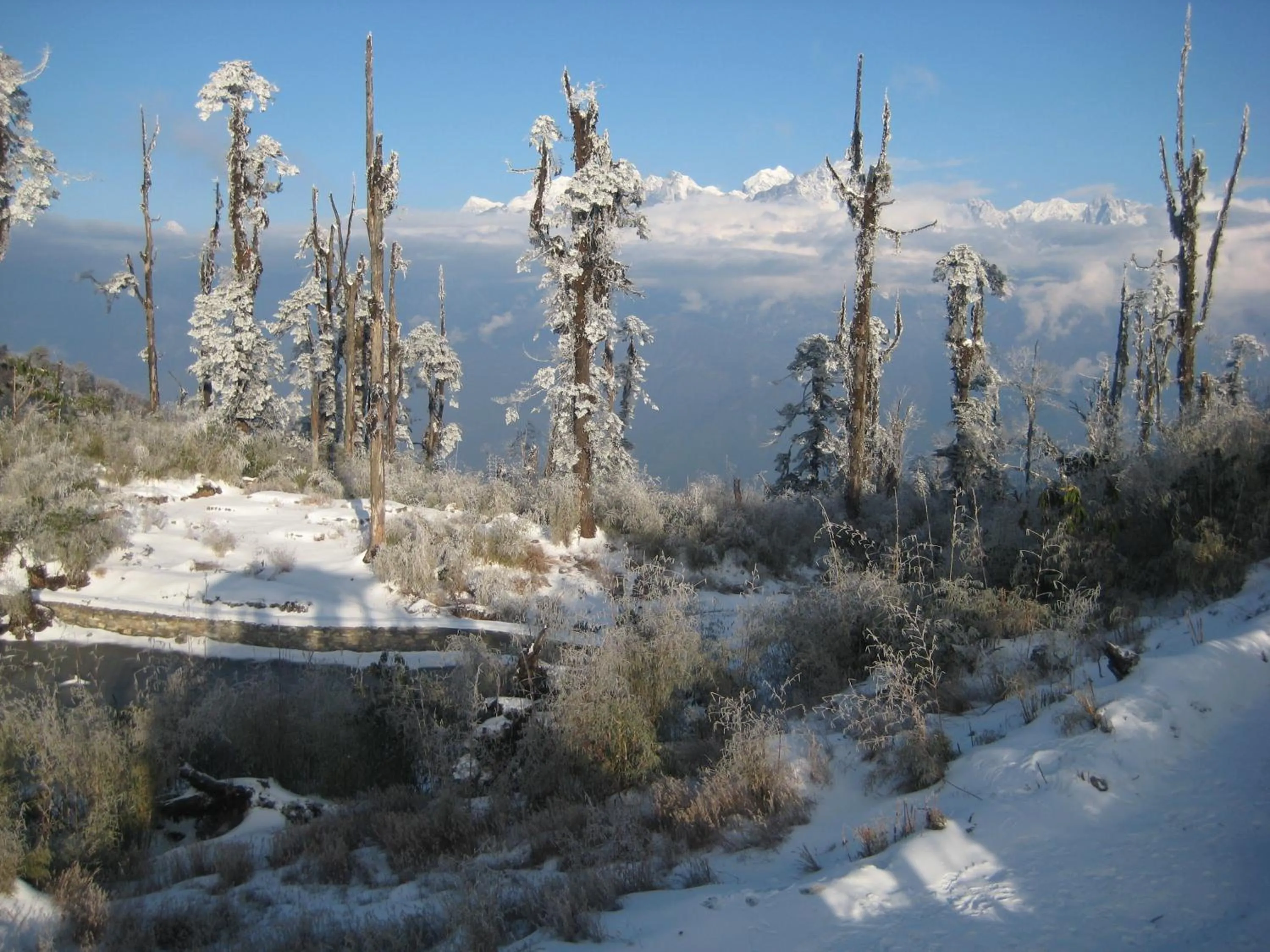 View (from property/room) in Juniper Residency Hotel
