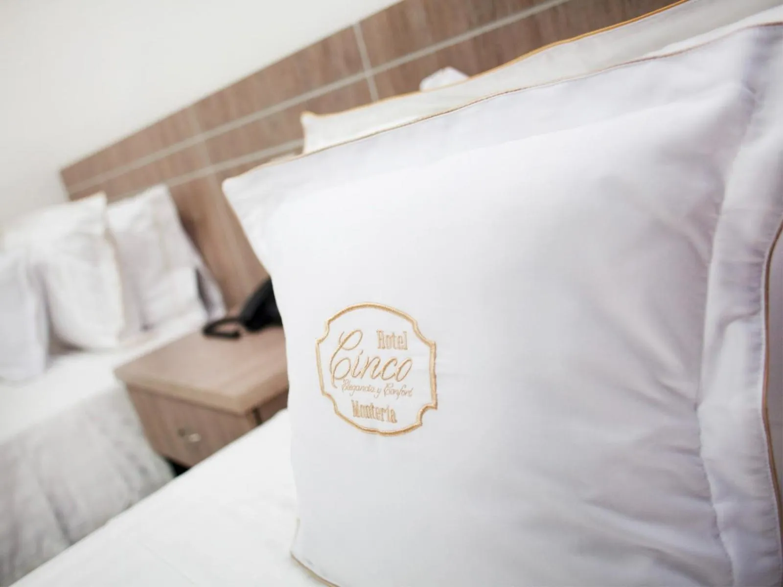 Hotel Cinco Monteria