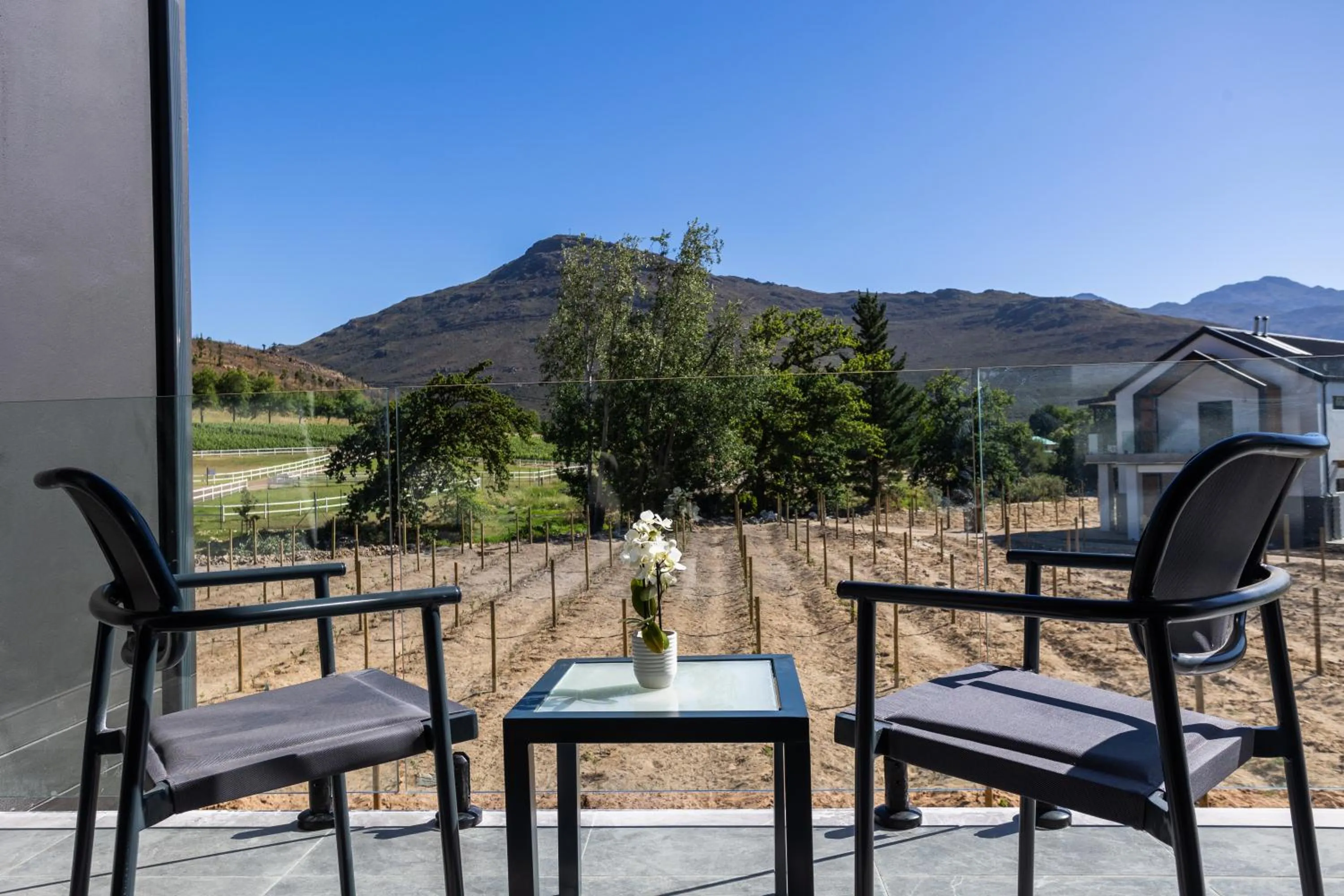 Garden in Franschhoek Hotel