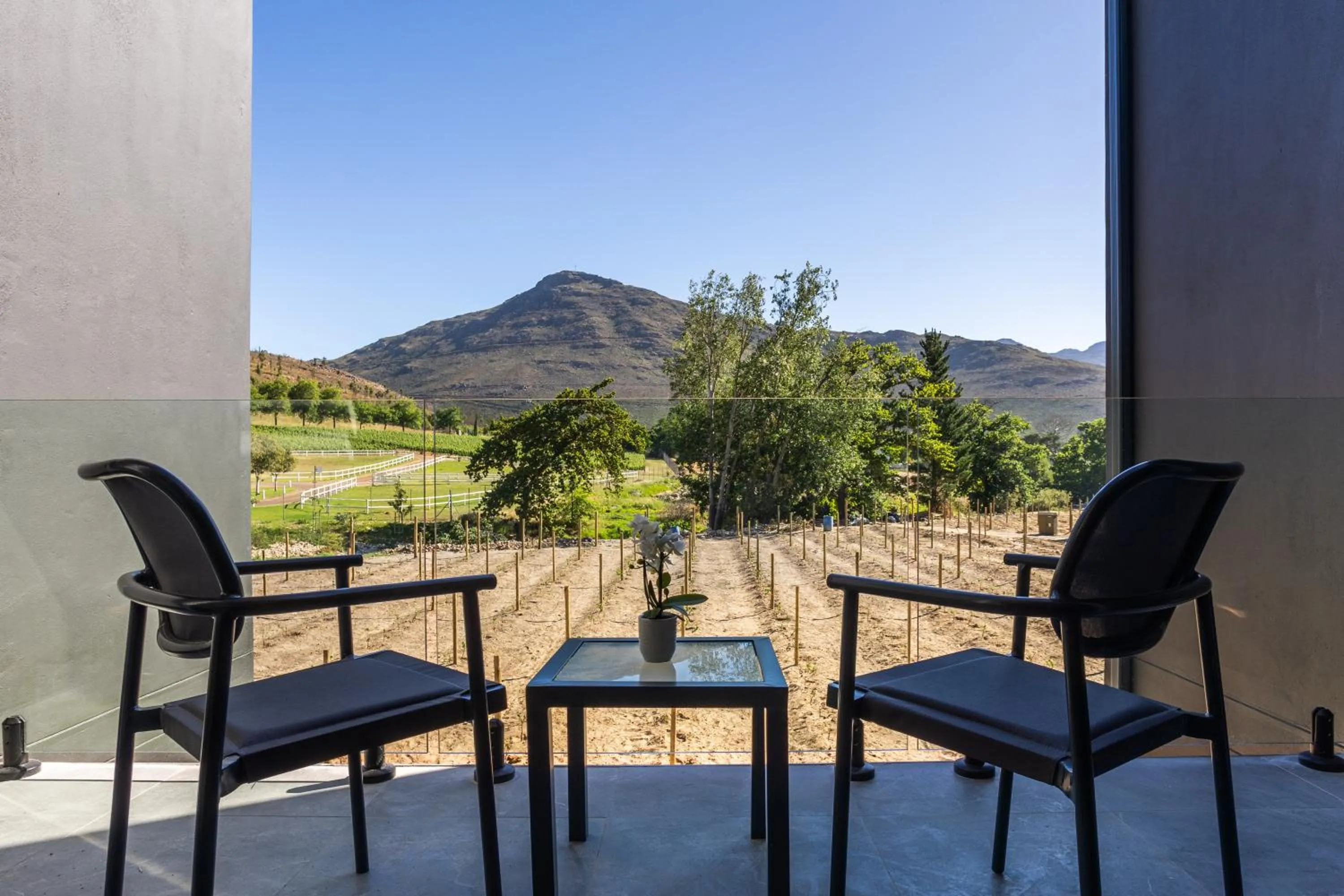 Franschhoek Hotel