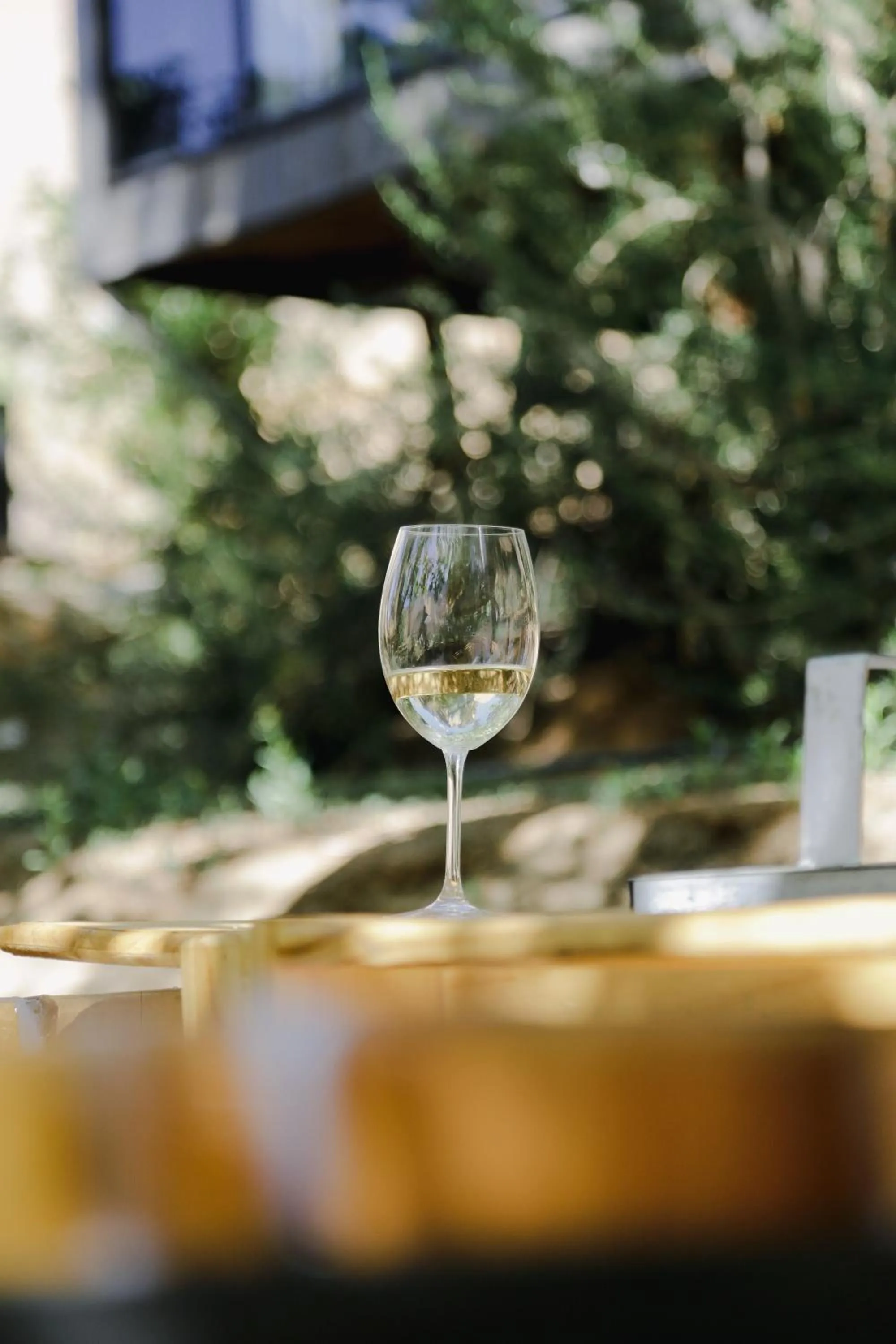 Day in Milodge Elqui Domos