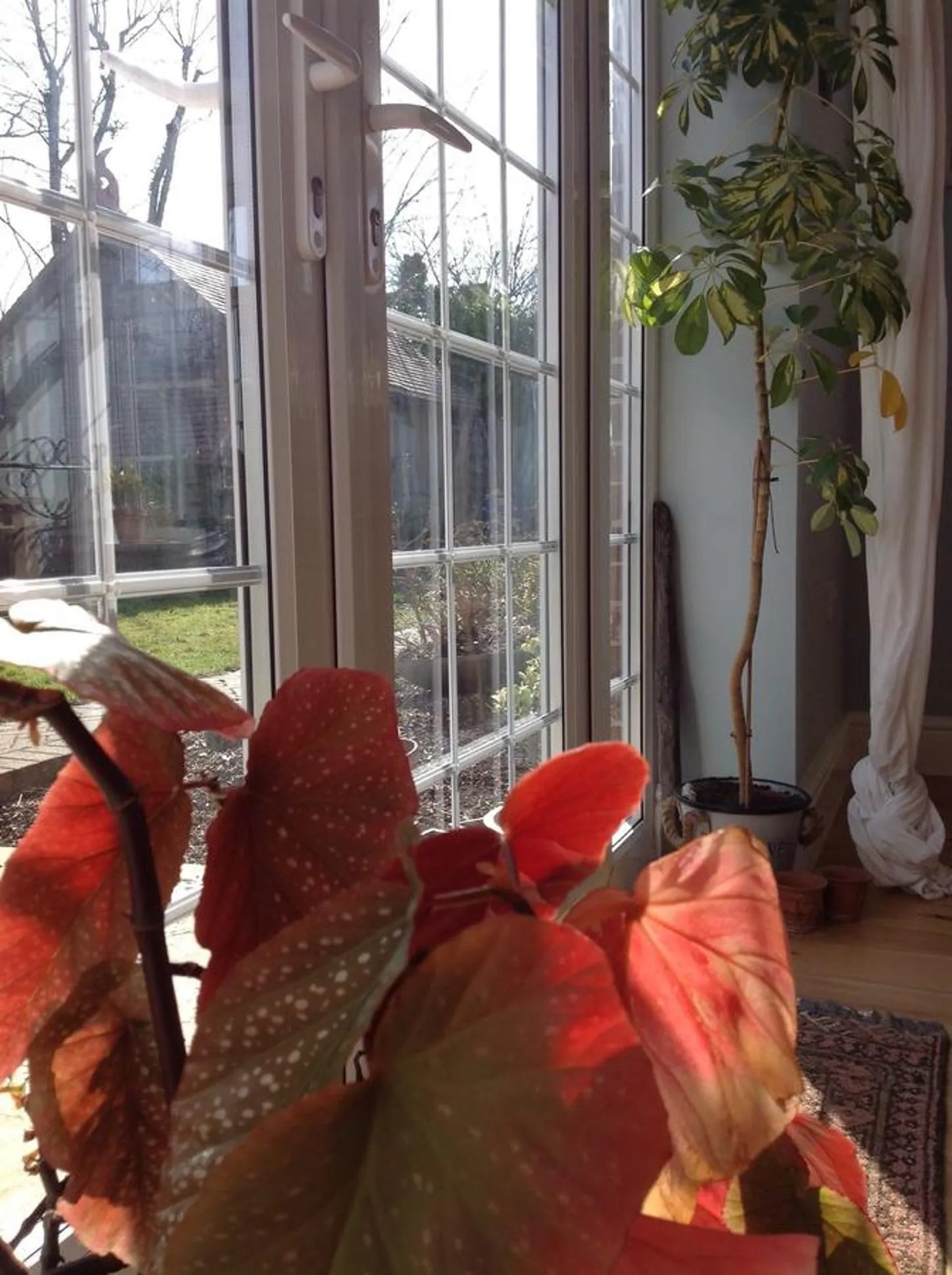 Facade/entrance in The Summer Room