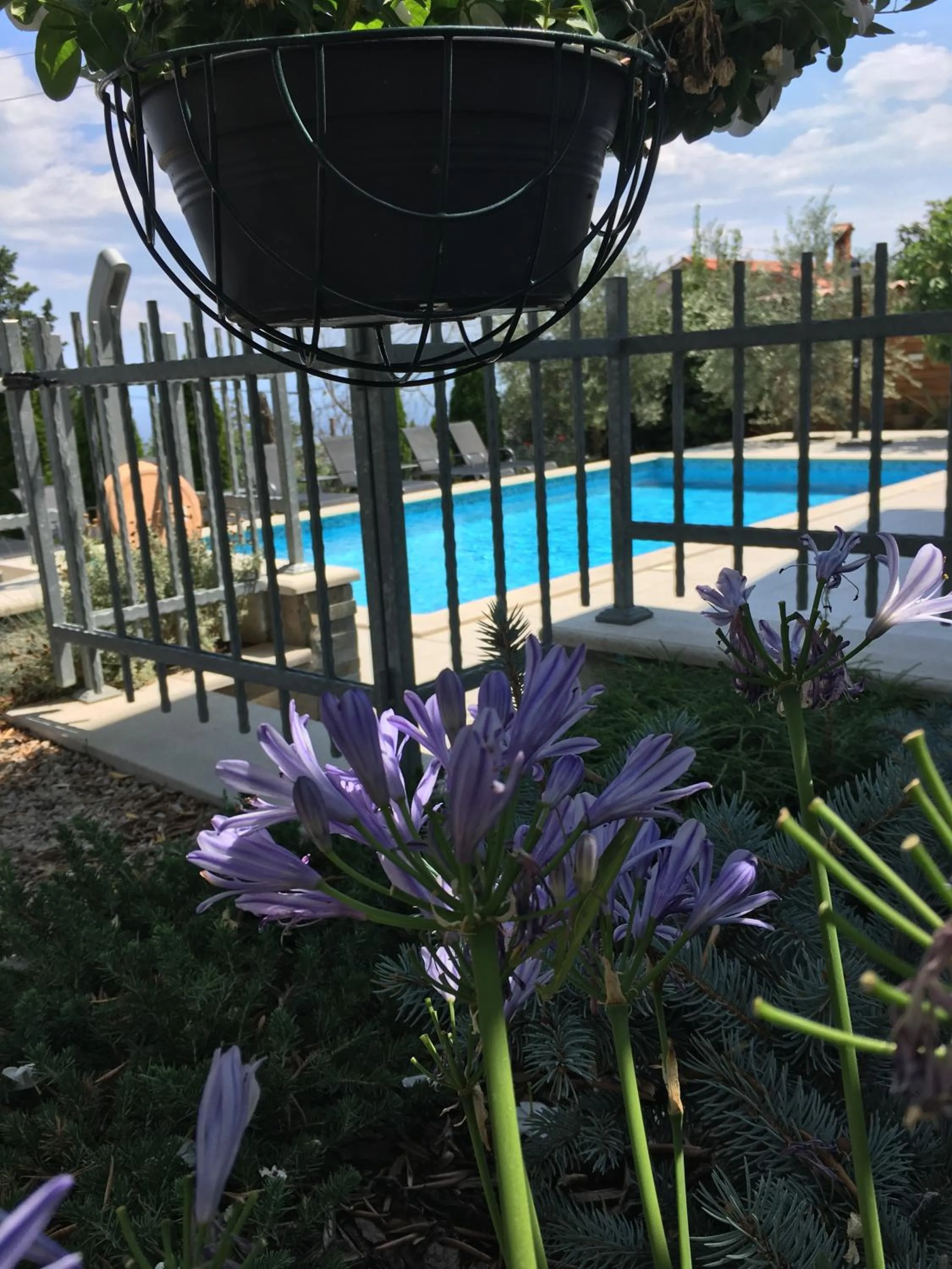 Swimming pool in Apartment Selce Kala