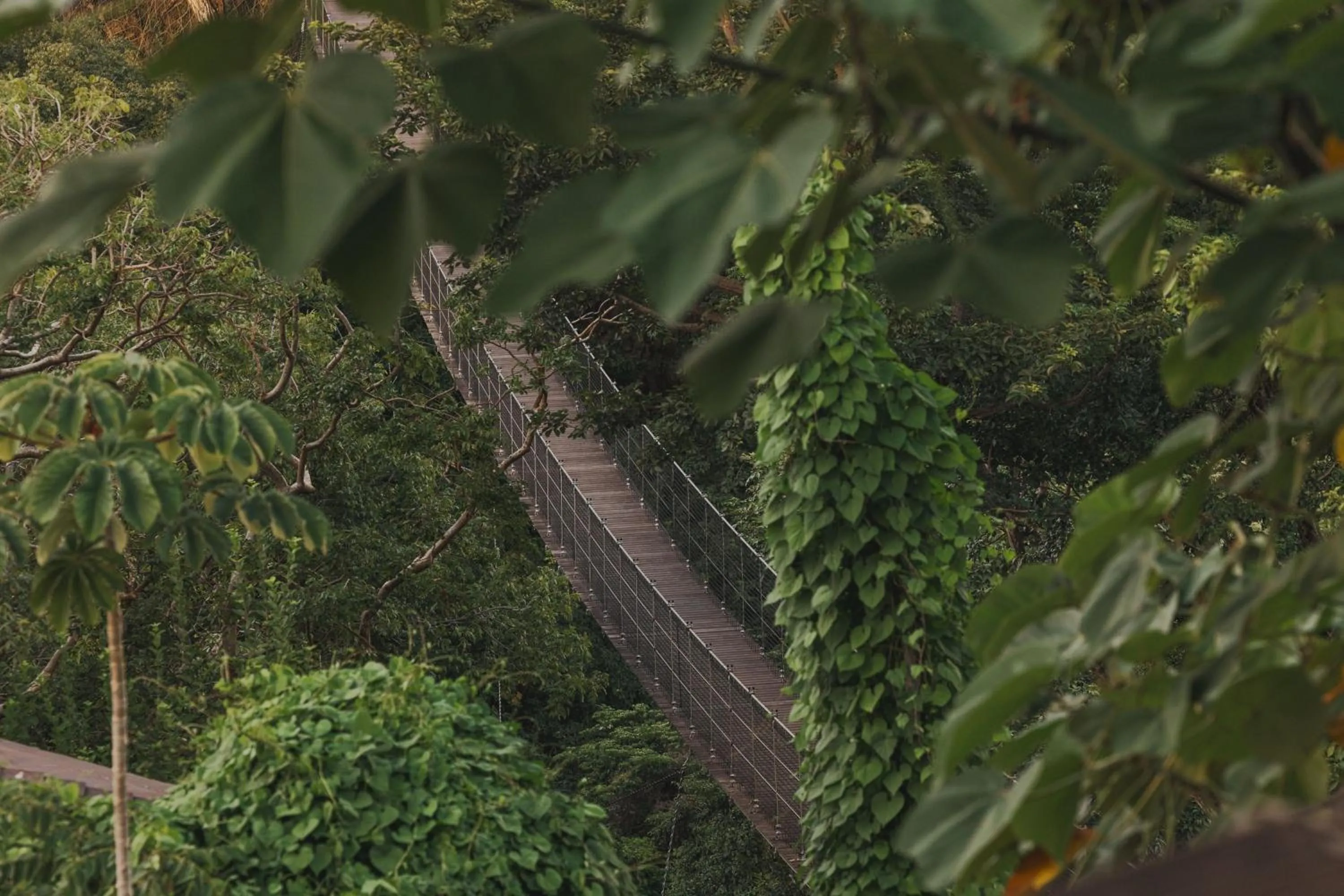 Other in Nekajui Peninsula Papagayo, a Ritz-Carlton Reserve