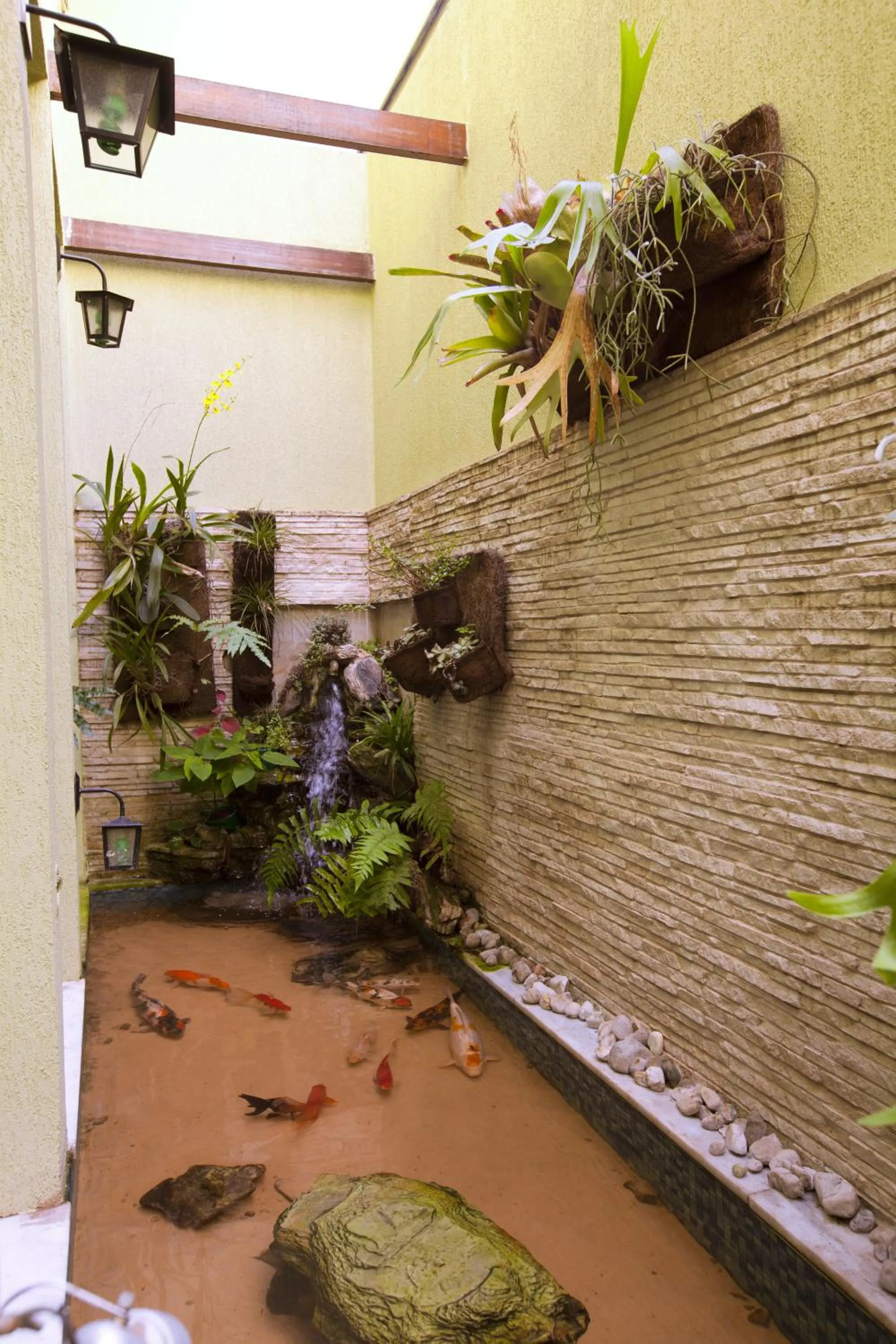 Garden in Hotel Oly Plaza