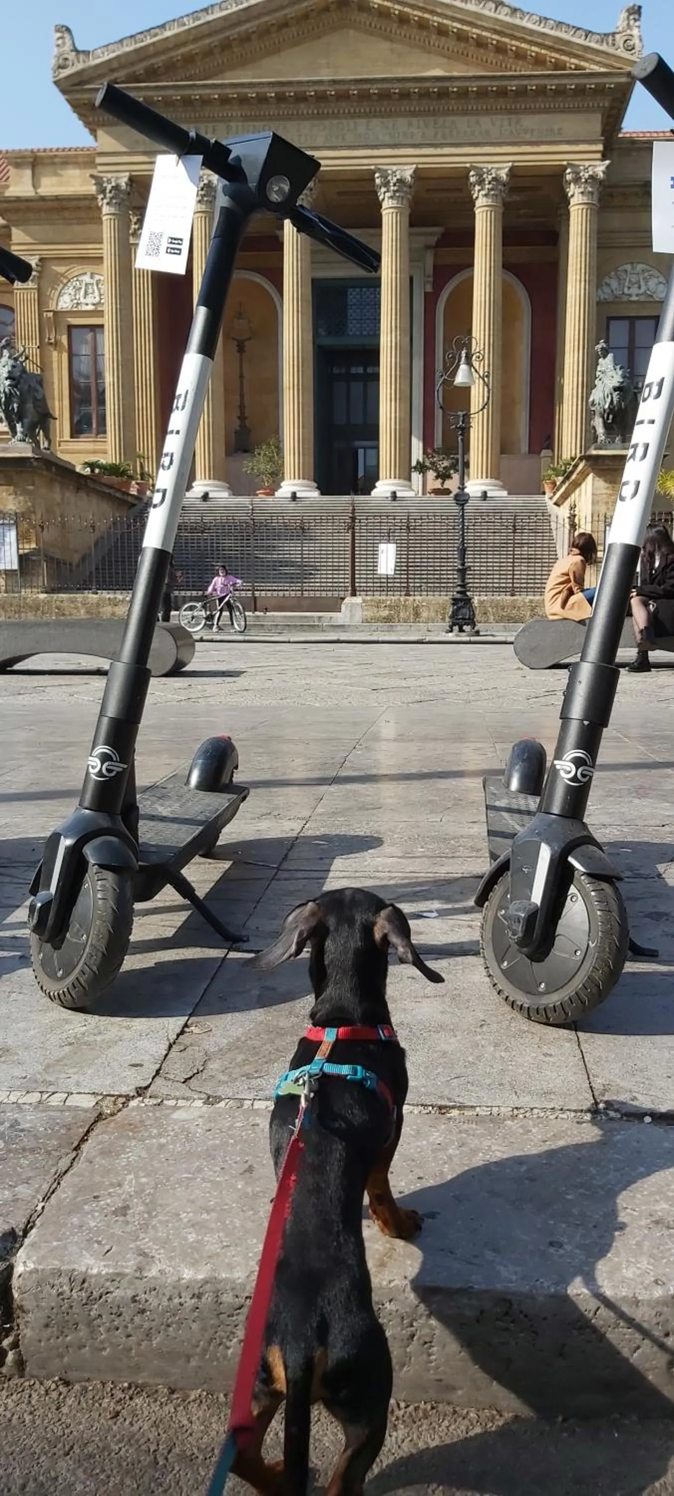 Pets in B&B SoleLuna della Solidarietà