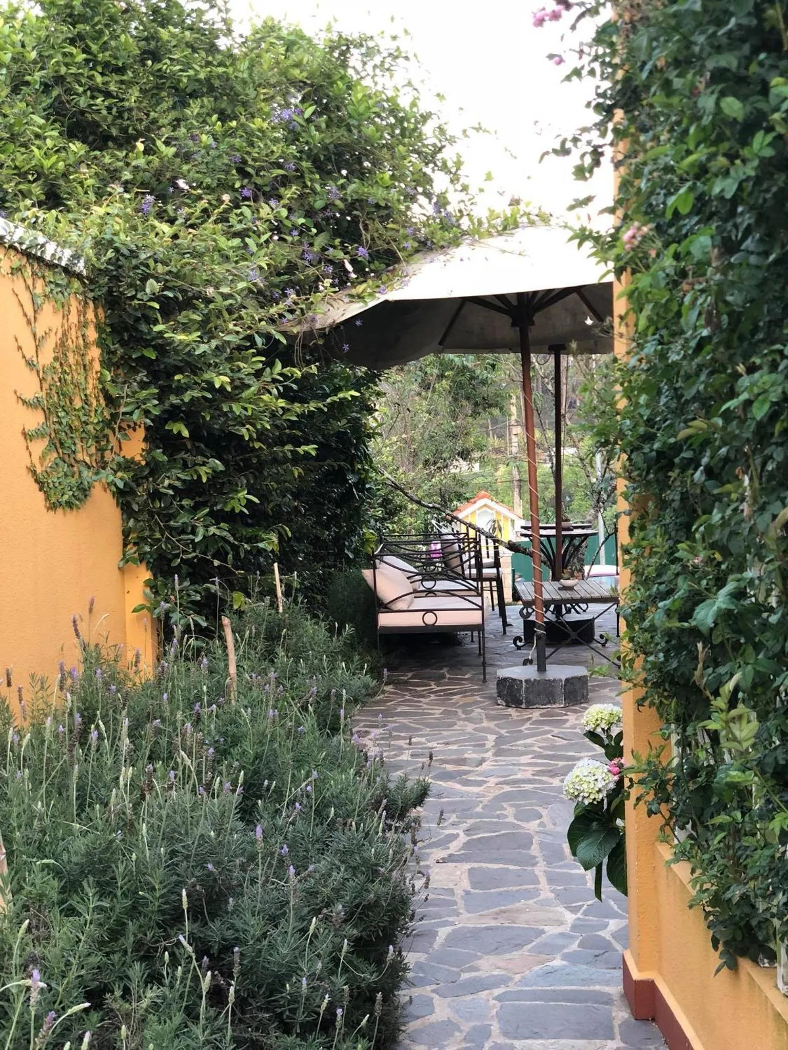 Garden in BICH DAO Boutique - Dalat