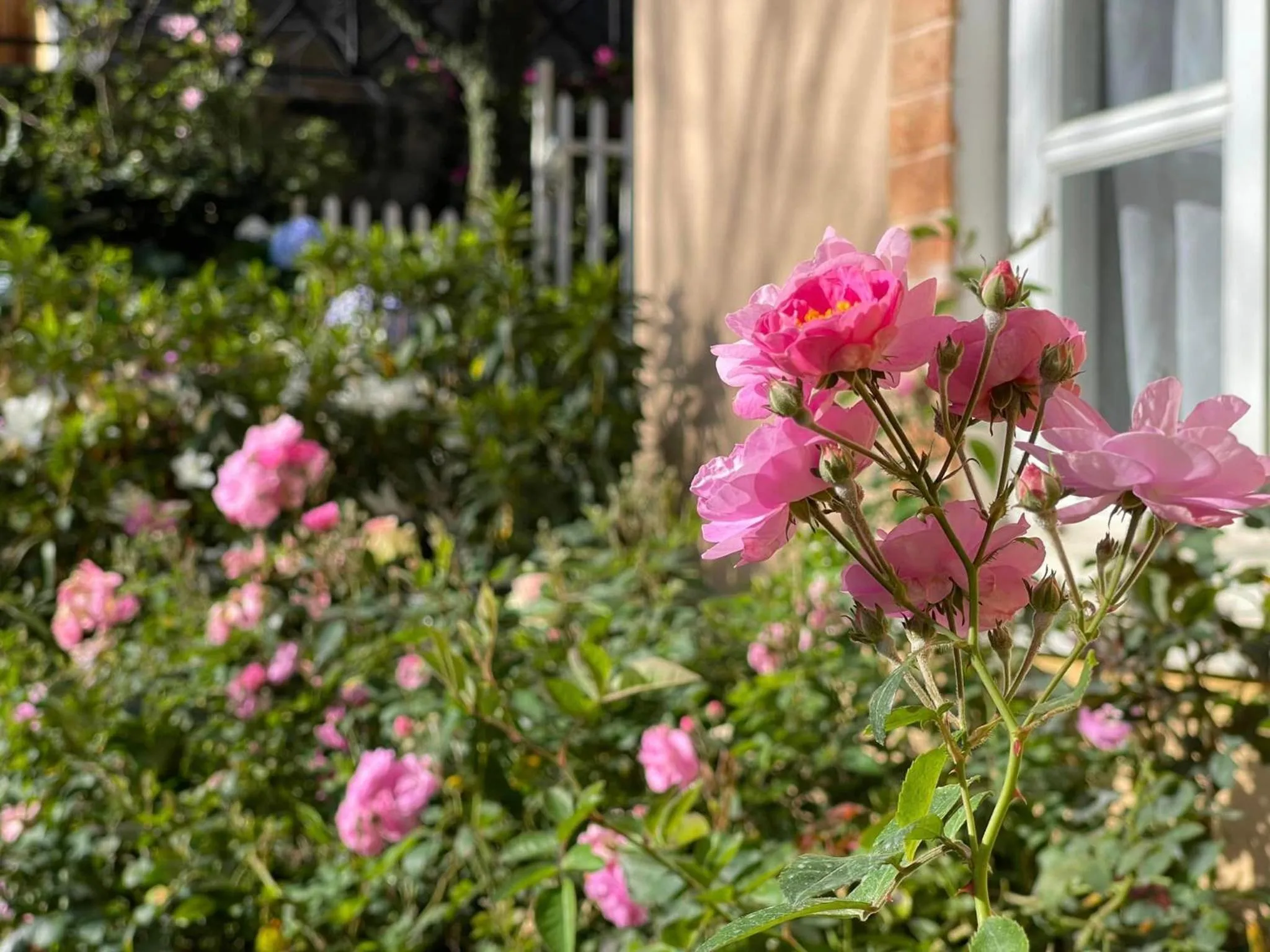 BICH DAO Boutique - Dalat