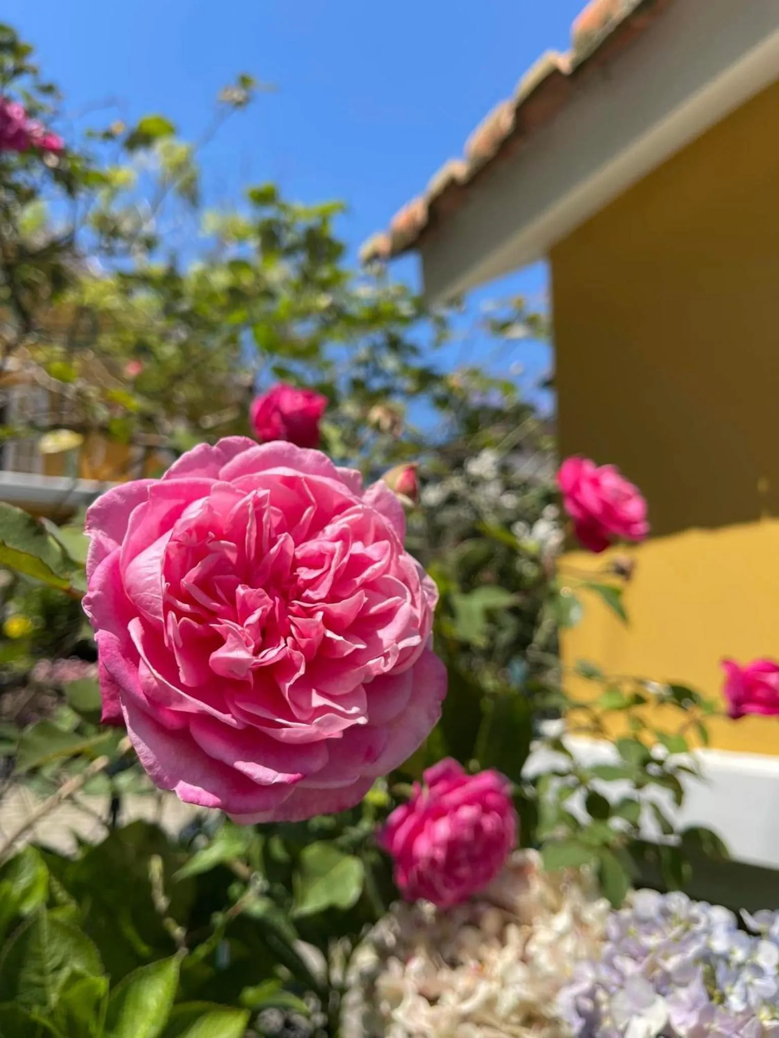 BICH DAO Boutique - Dalat