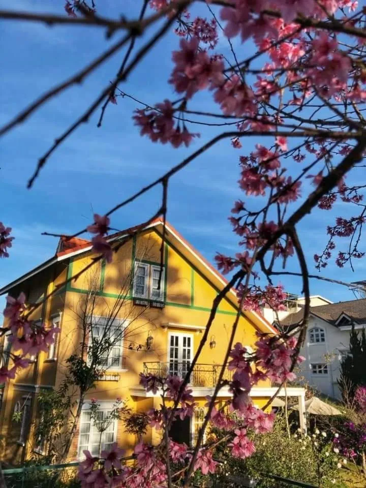 BICH DAO Boutique - Dalat