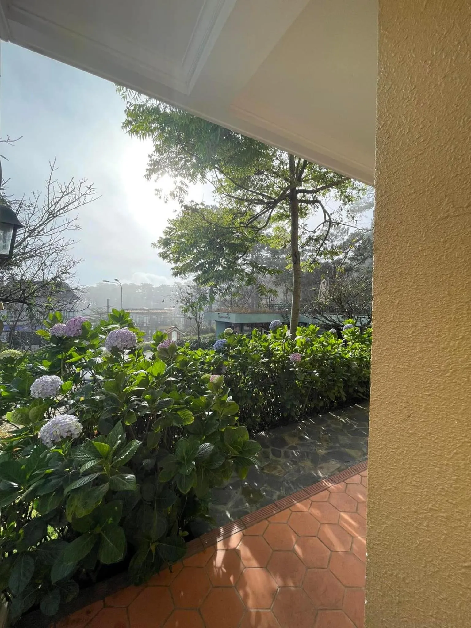 BICH DAO Boutique - Dalat