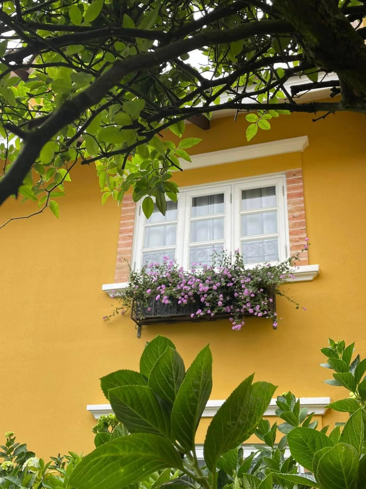 BICH DAO Boutique - Dalat