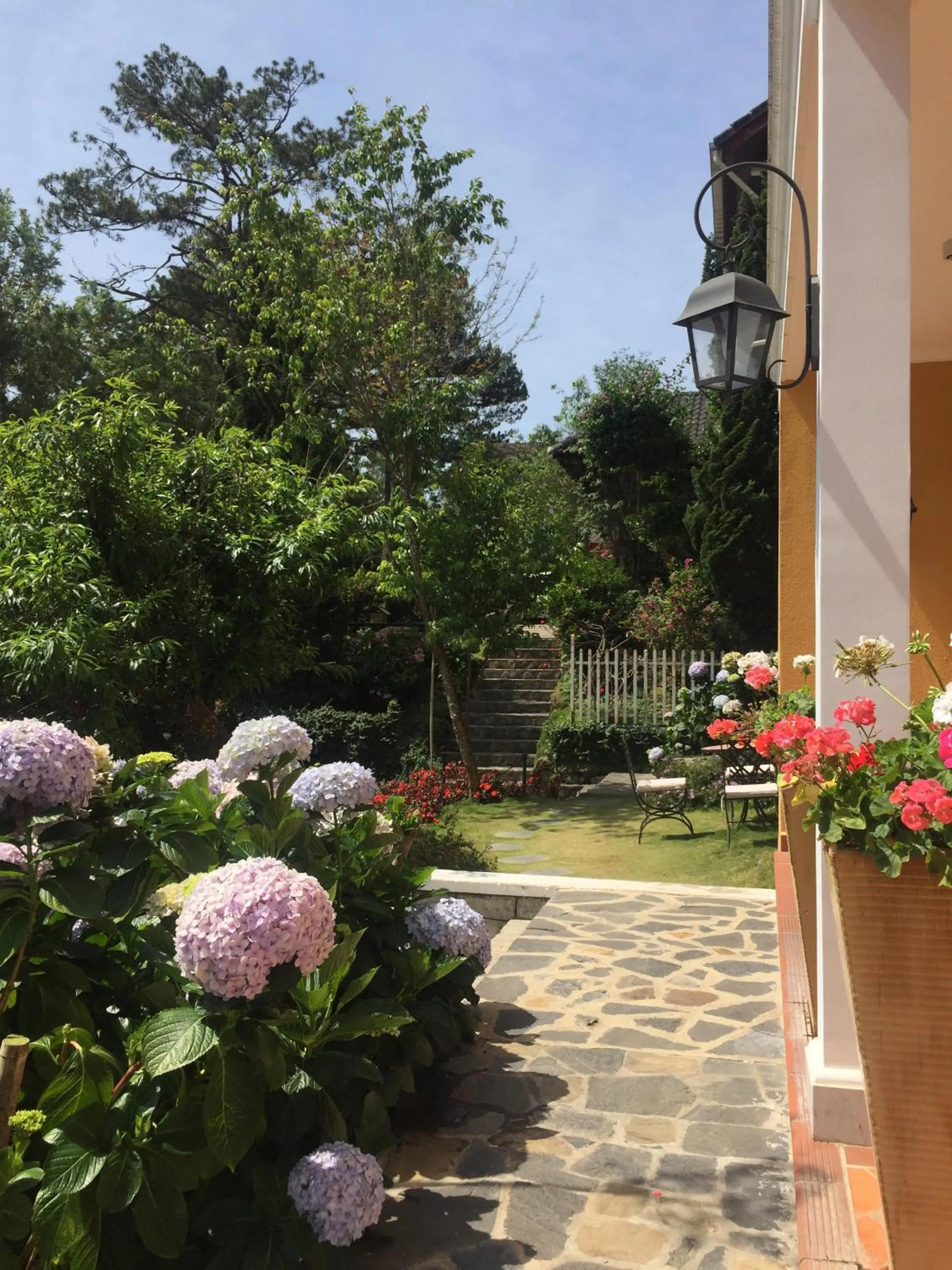 Garden in BICH DAO Boutique - Dalat