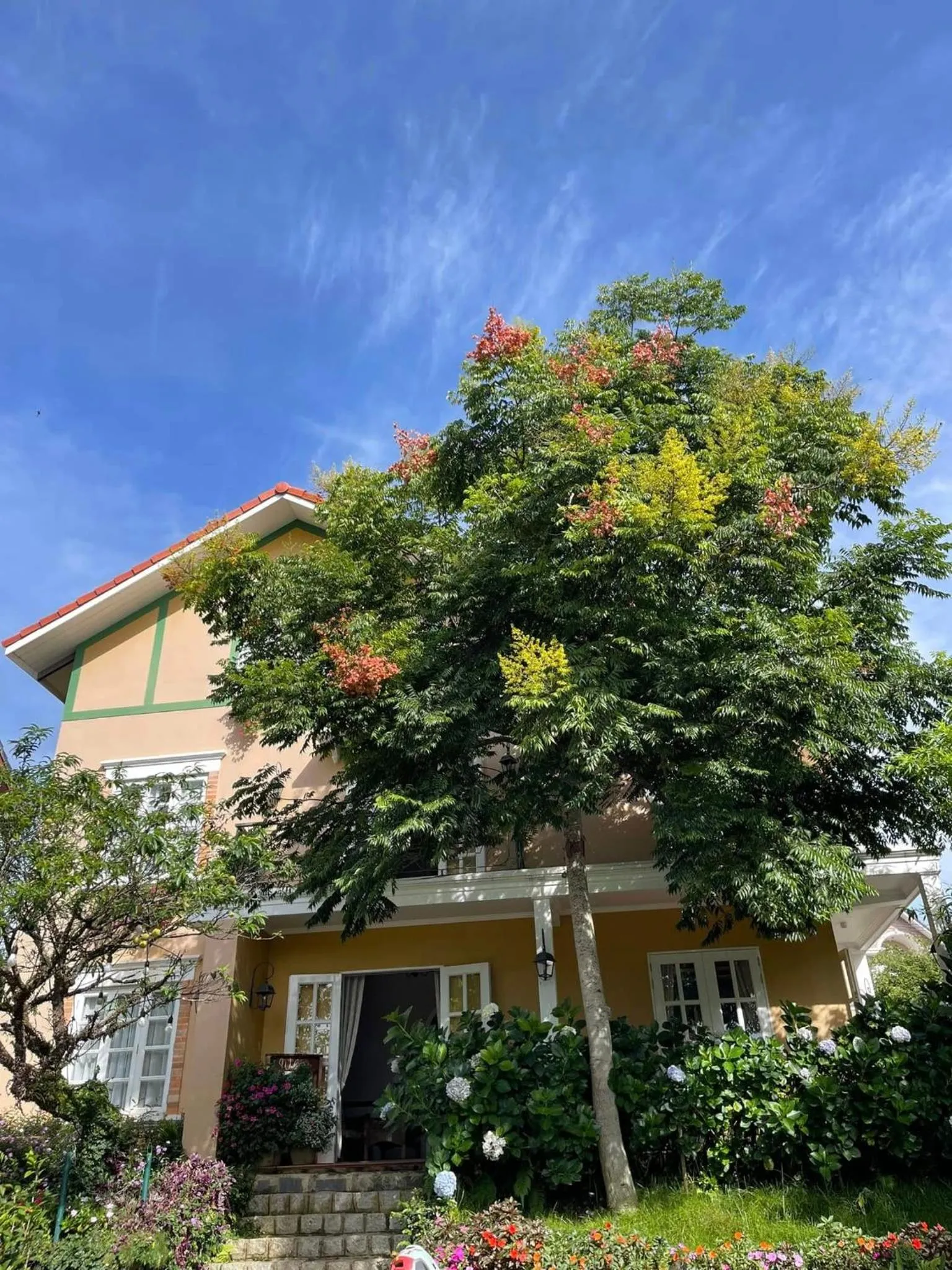 Property building in BICH DAO Boutique - Dalat