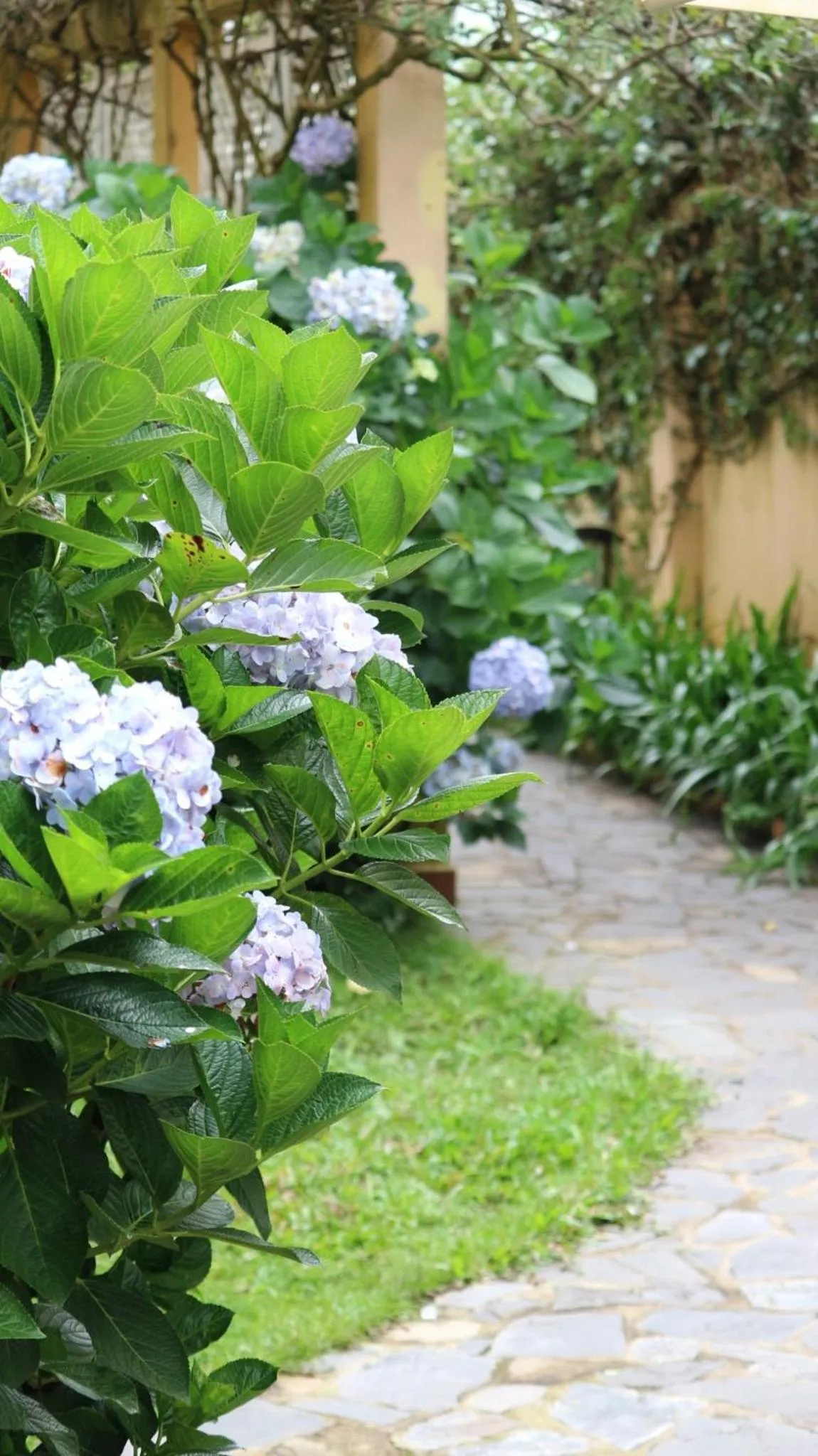 BICH DAO Boutique - Dalat