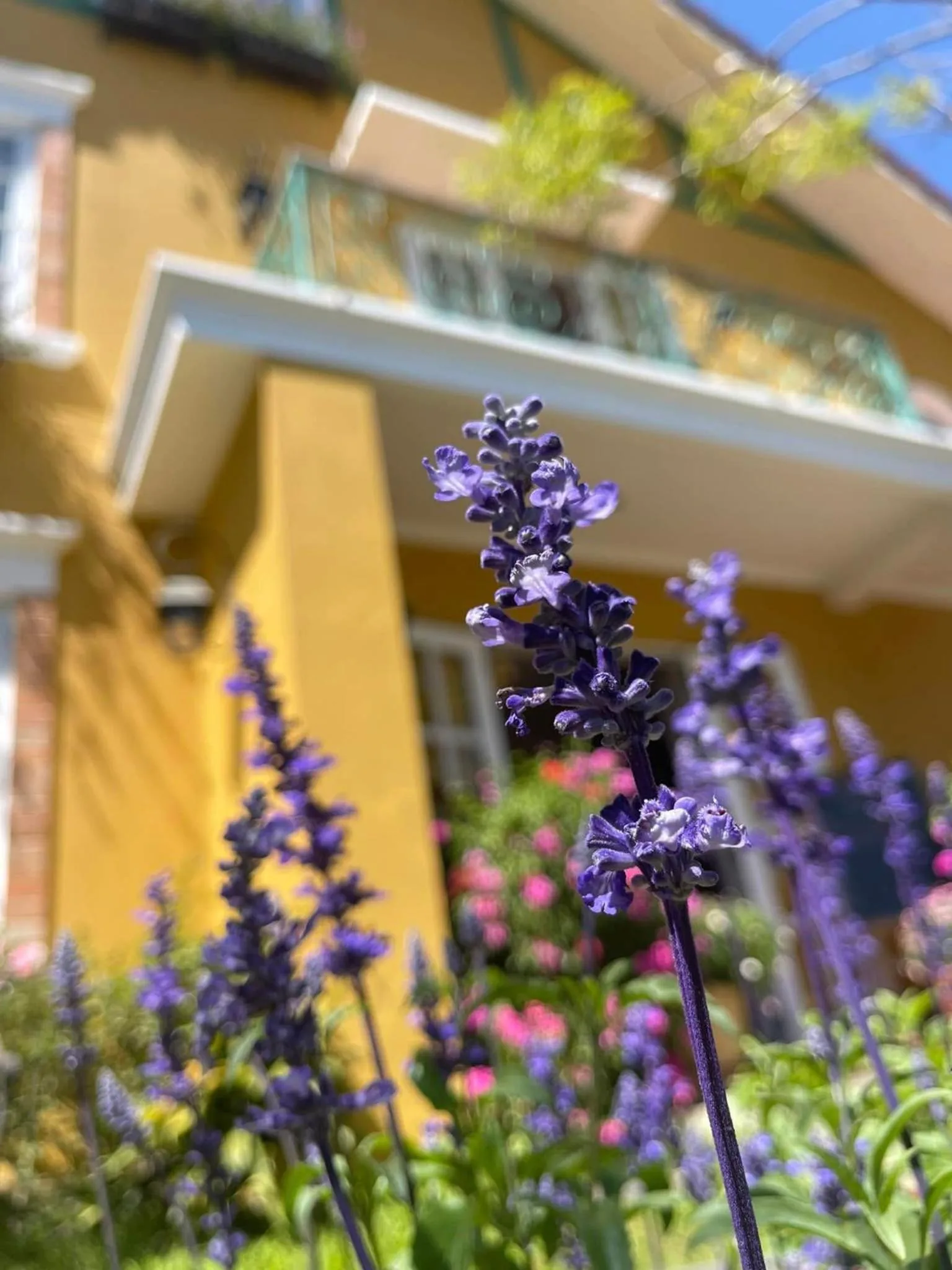 BICH DAO Boutique - Dalat