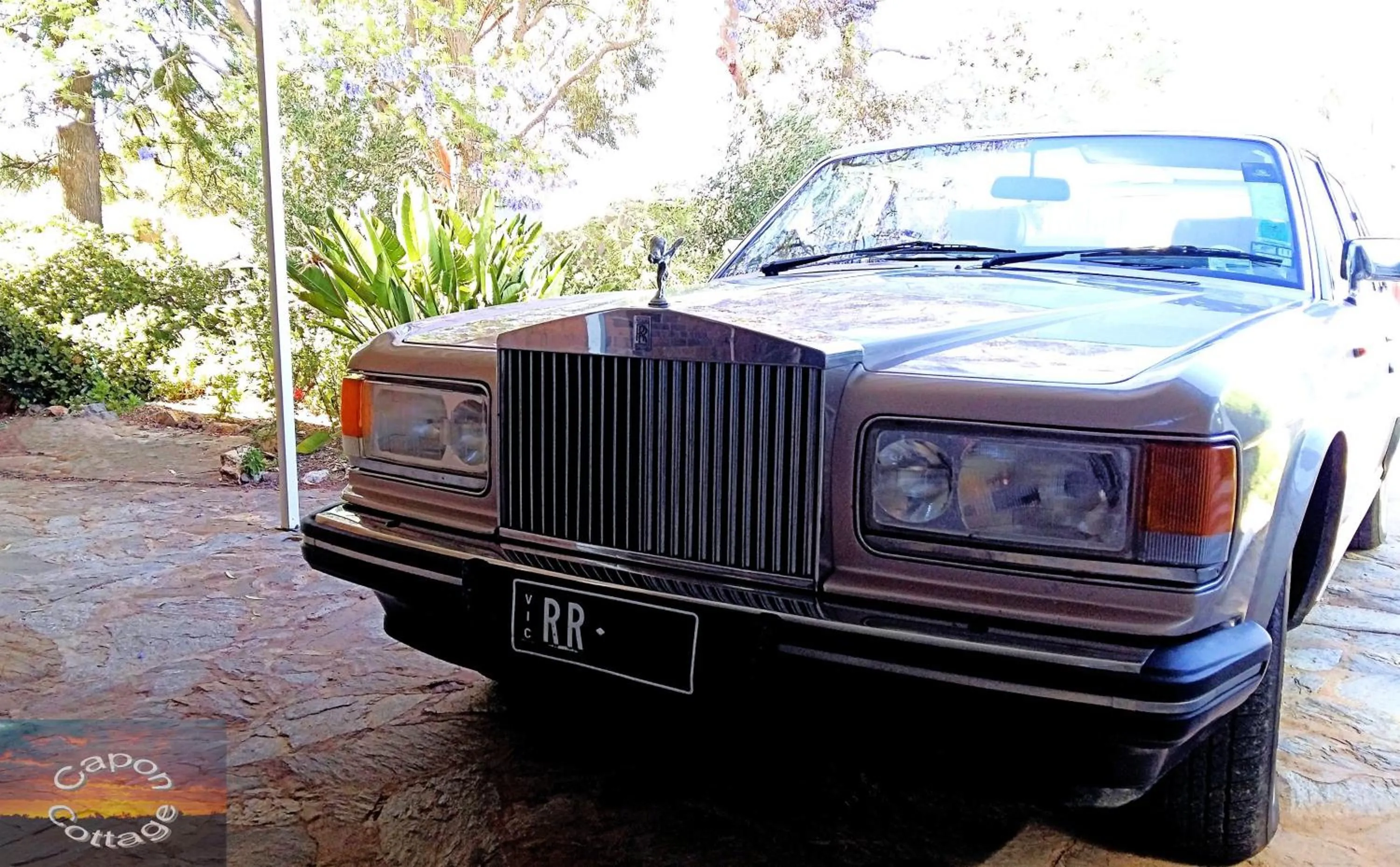 Garden in Capon Cottage