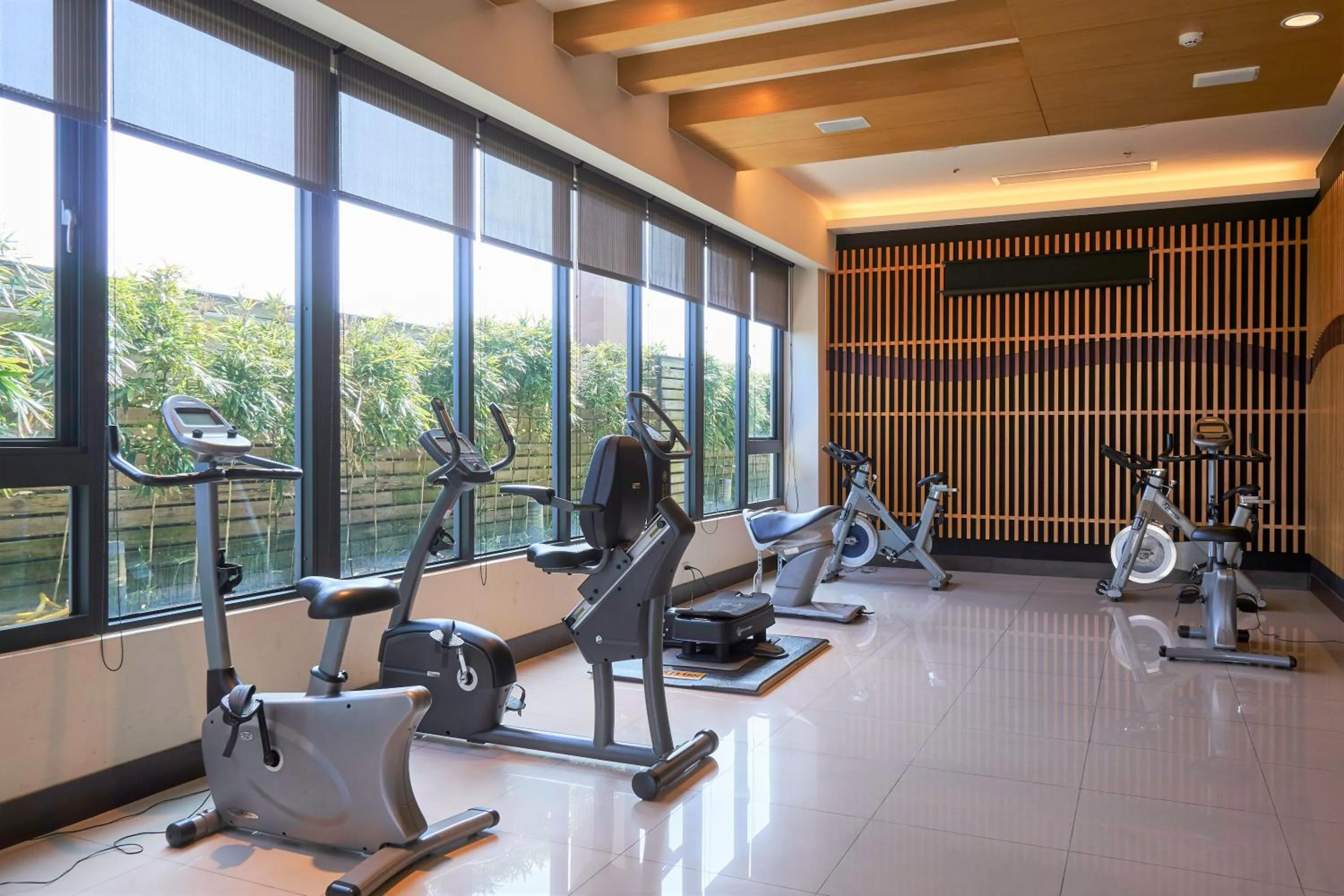Fitness centre/facilities in Hotel Modern Puli