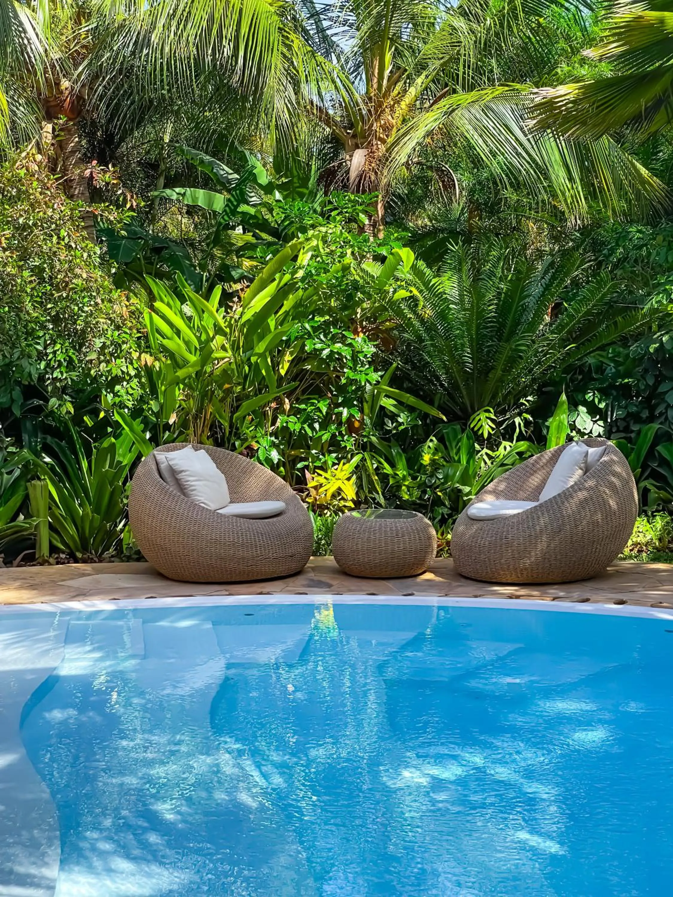 Garden in Tulia Zanzibar Unique Beach Resort