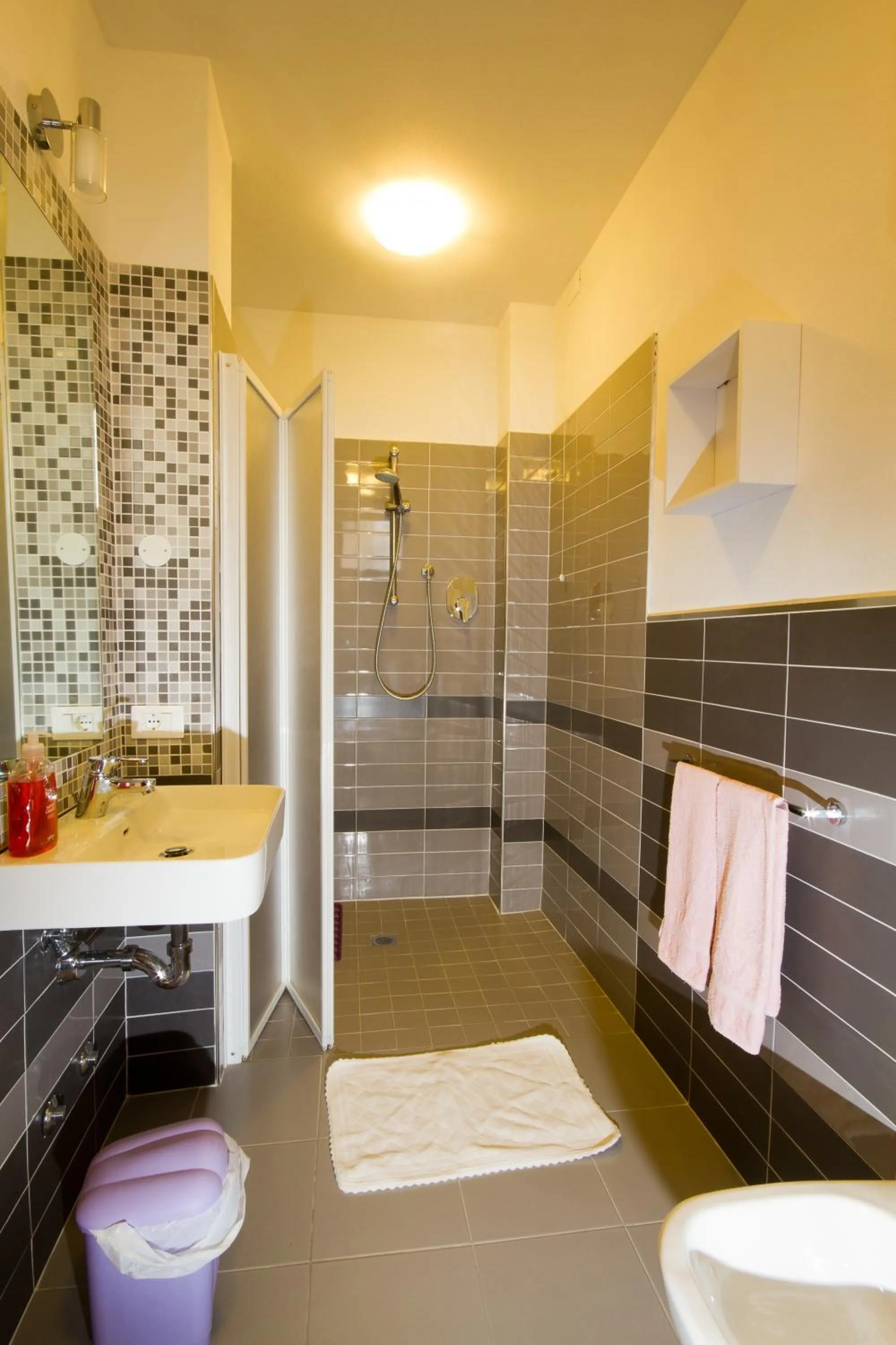 Shower in Hotel Mary Fleur