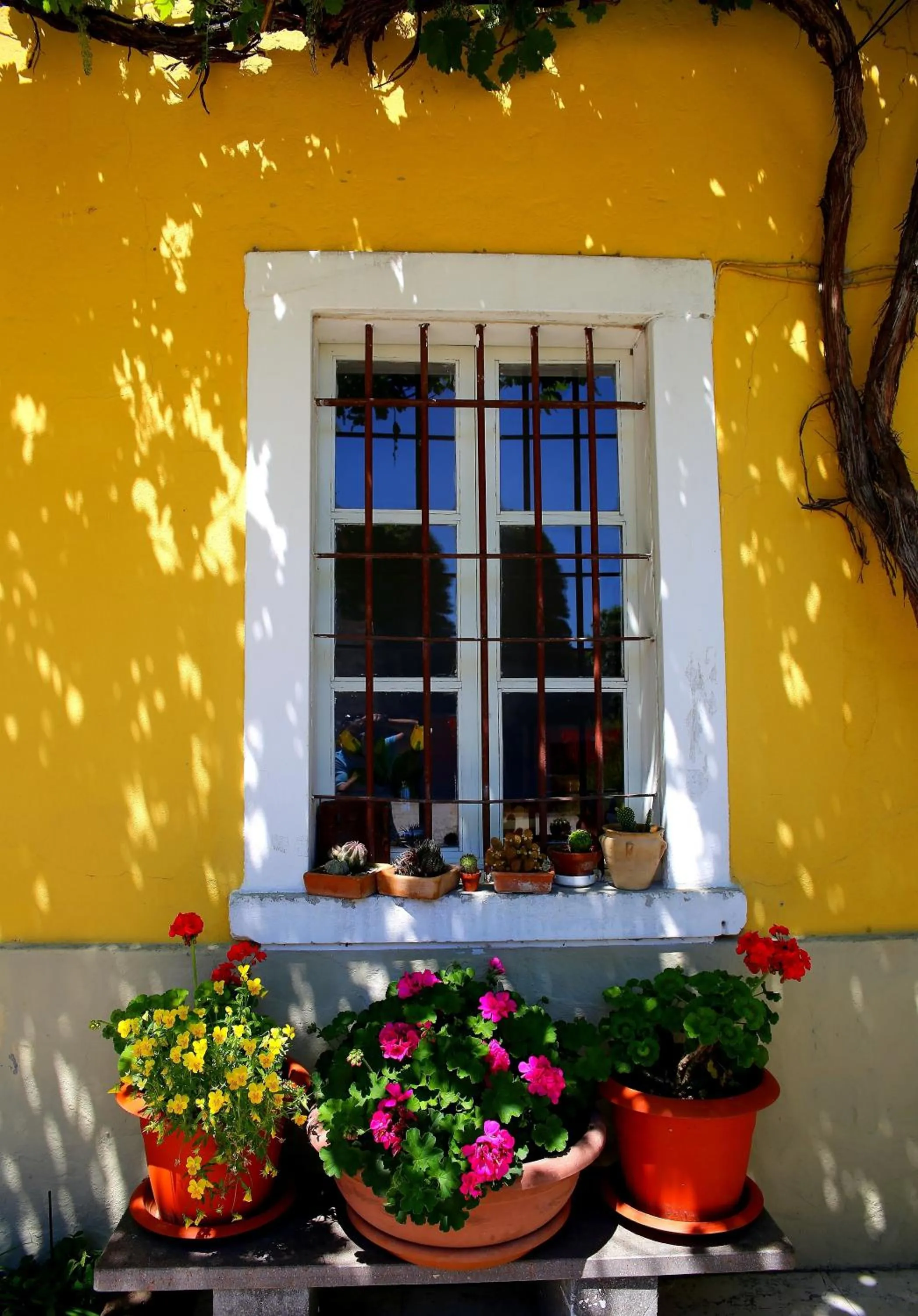Decorative detail in Corte Valesana