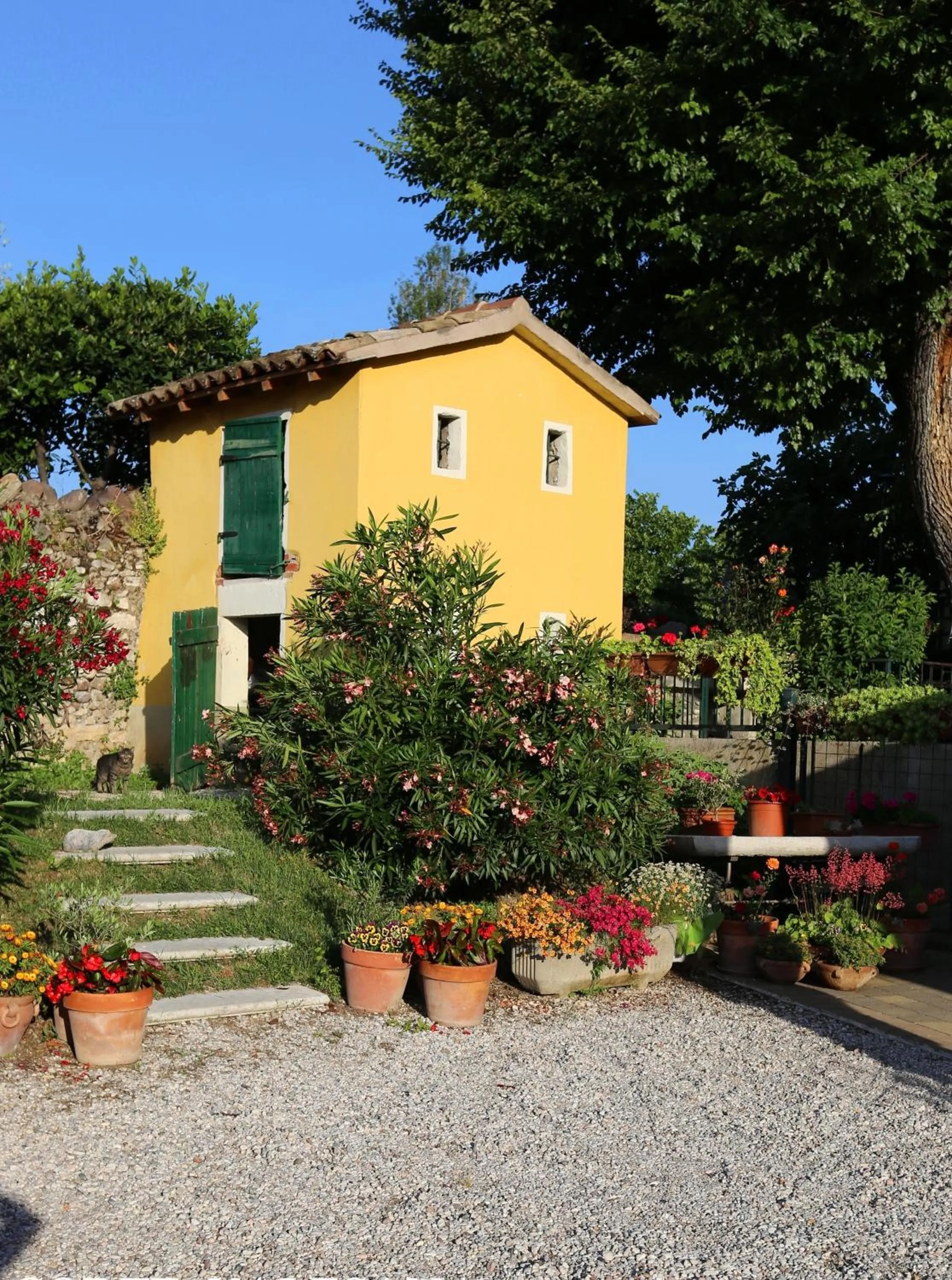 Property building in Corte Valesana