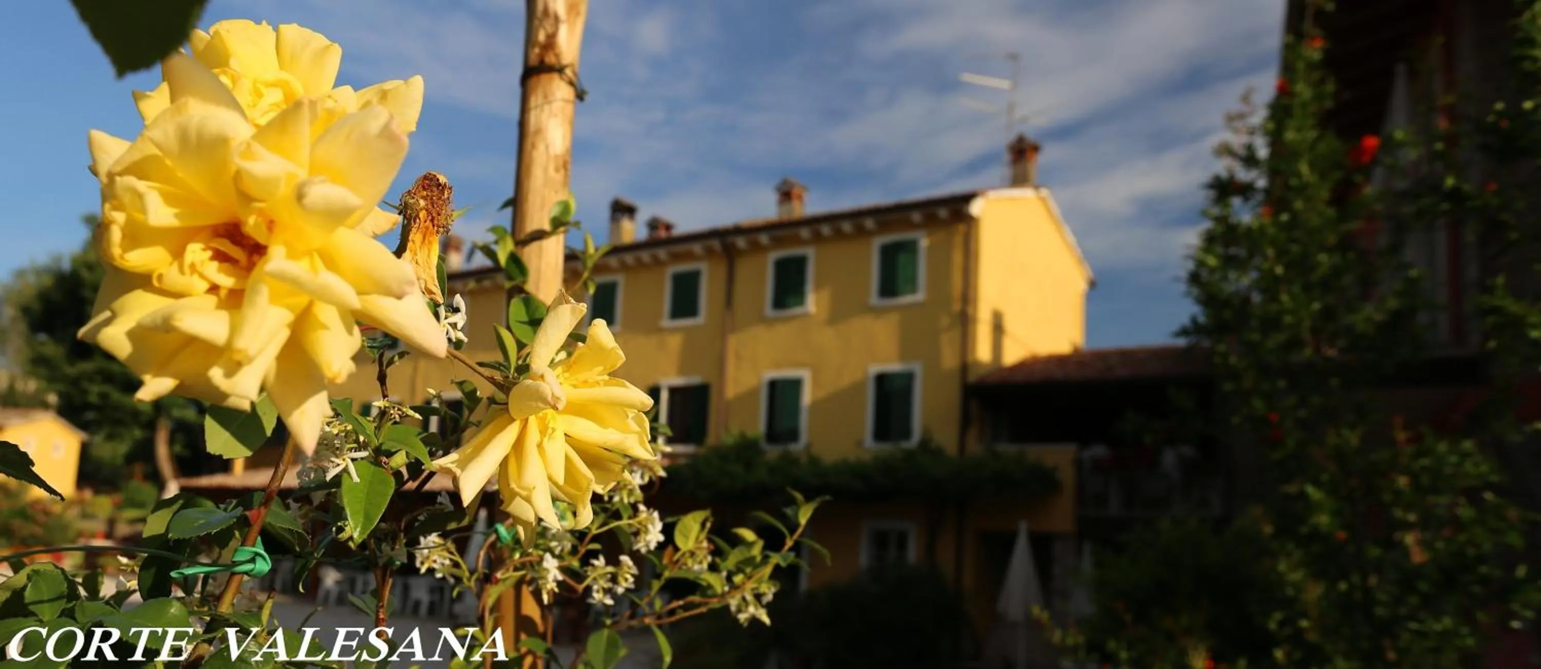 Property building in Corte Valesana