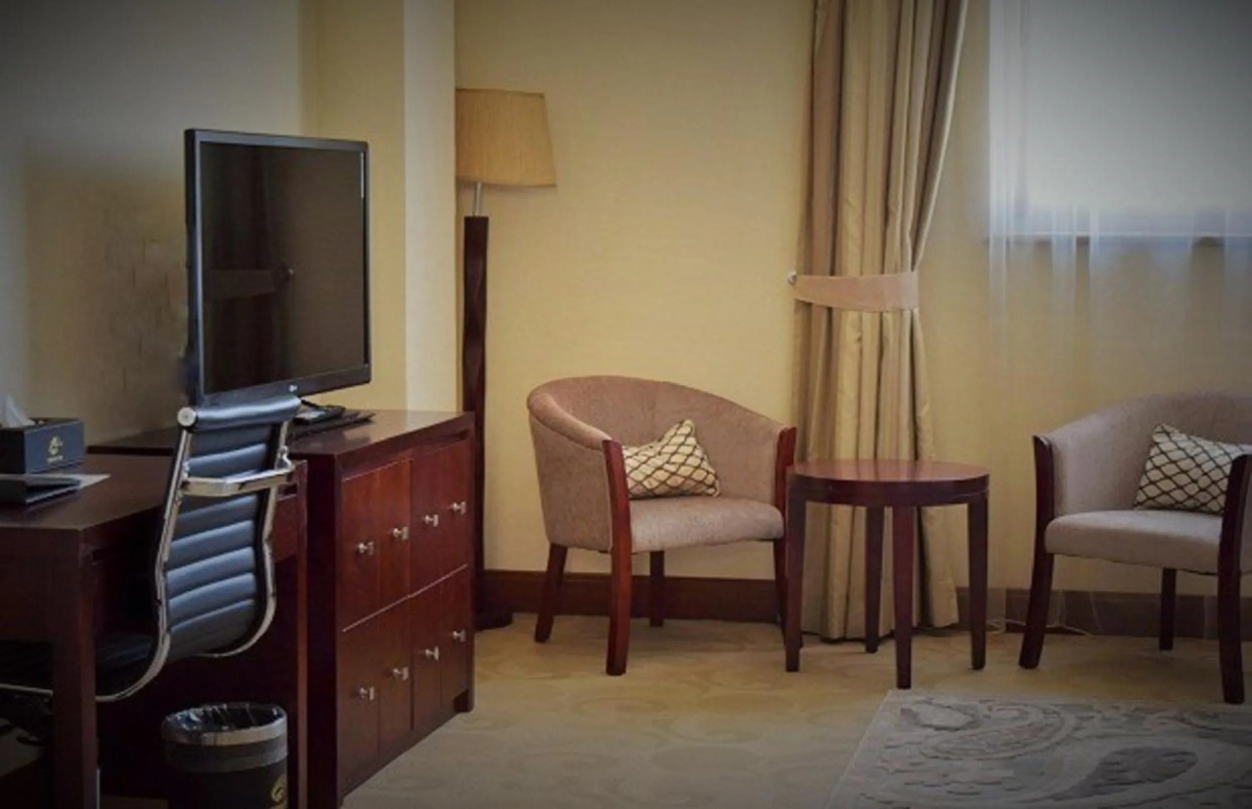 TV and multimedia in Addissinia Hotel