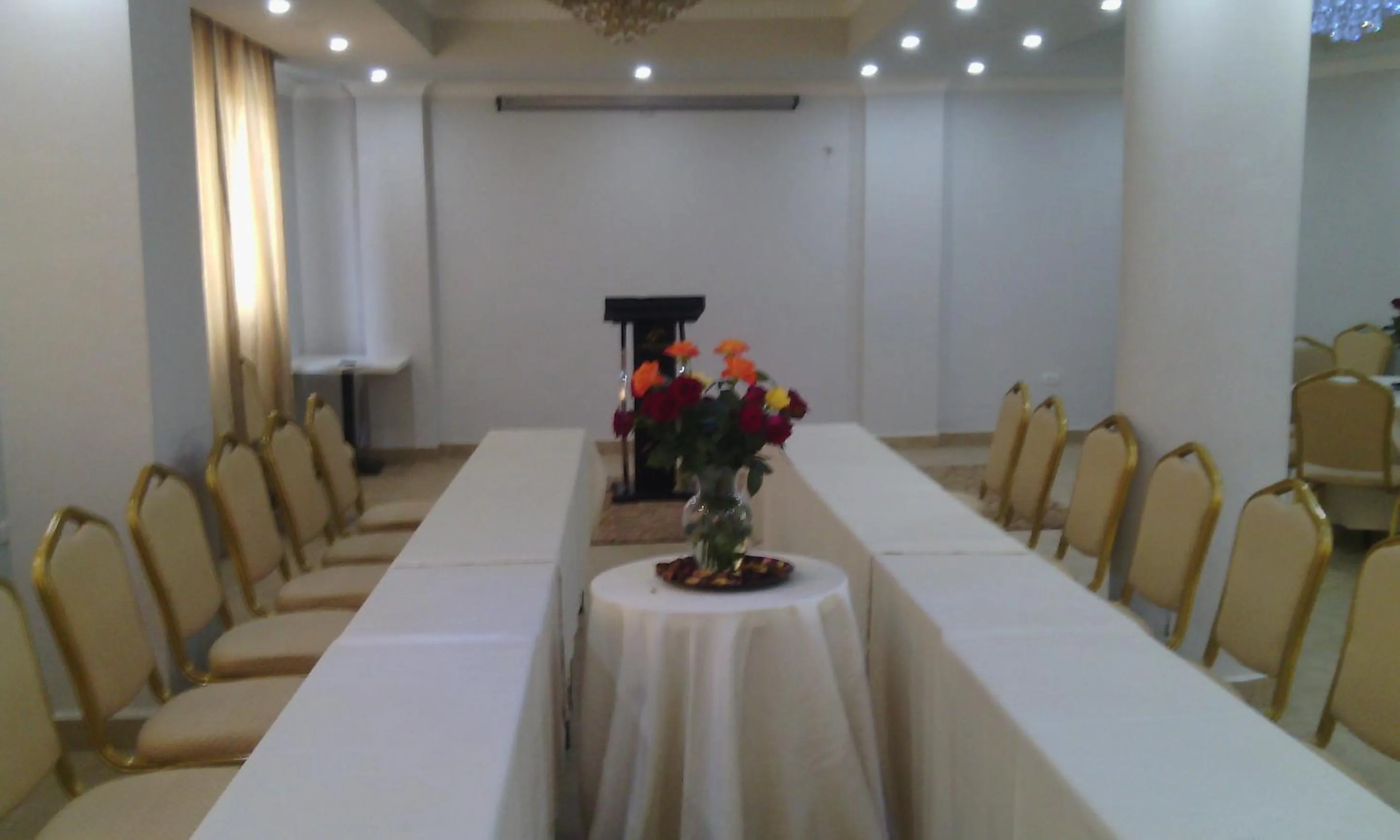 Business facilities in Addissinia Hotel