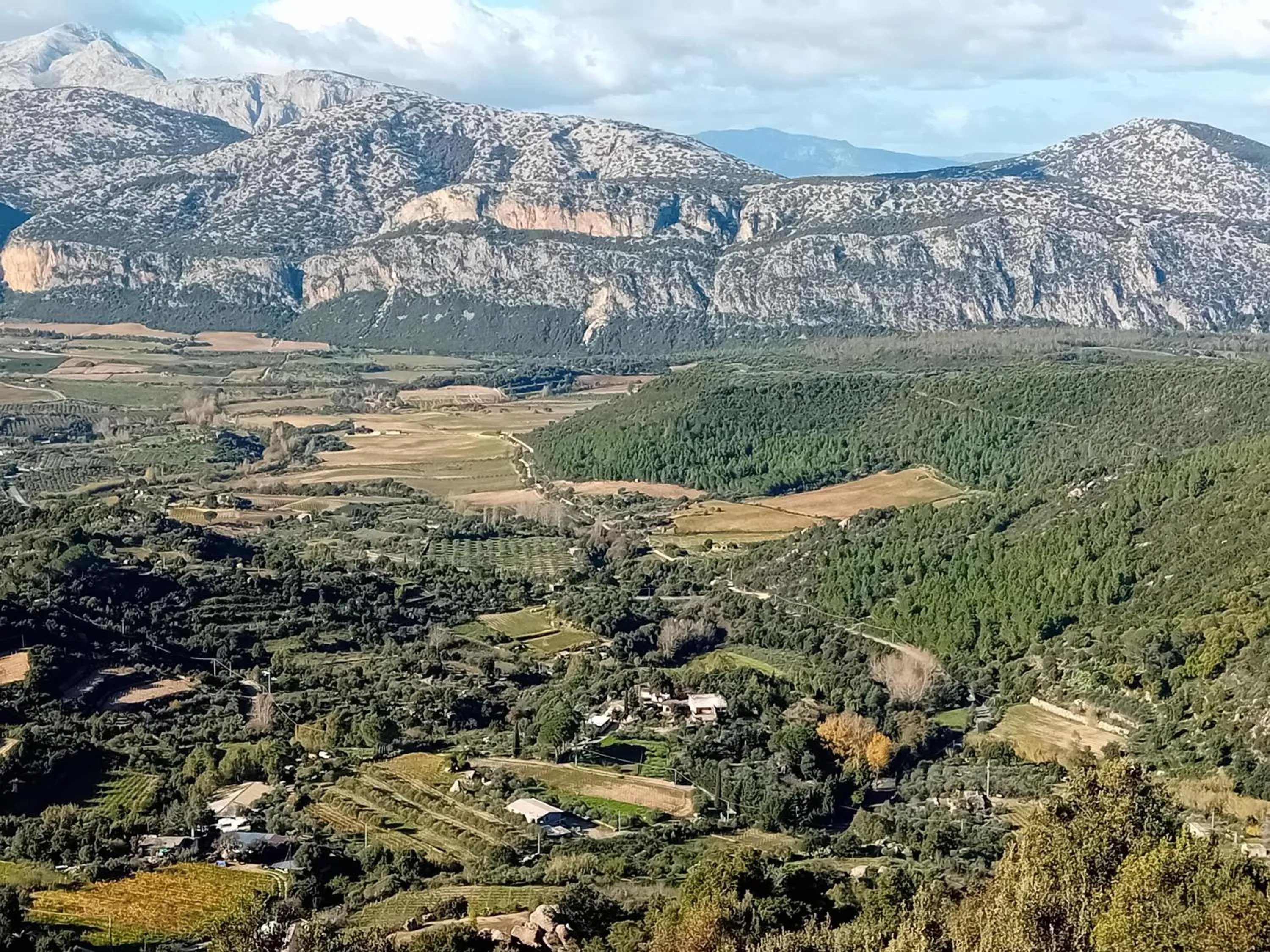 View (from property/room) in B&b Su Acu