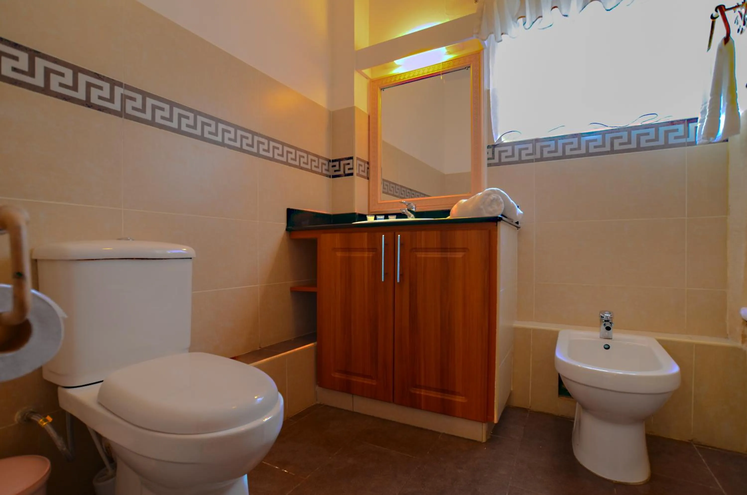 Toilet in Mimosa Court Apartments