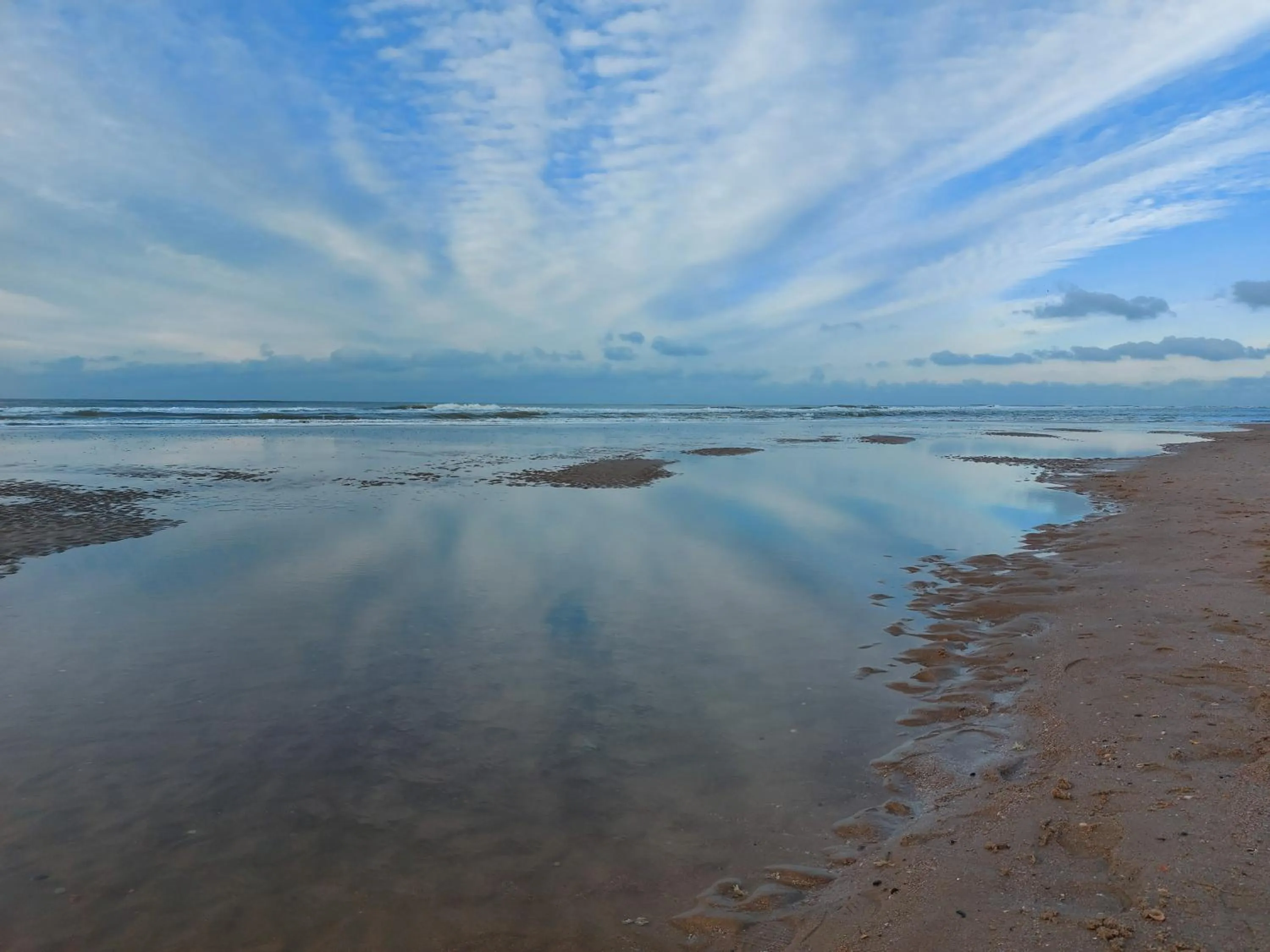 Natural landscape in Prins Appartementen