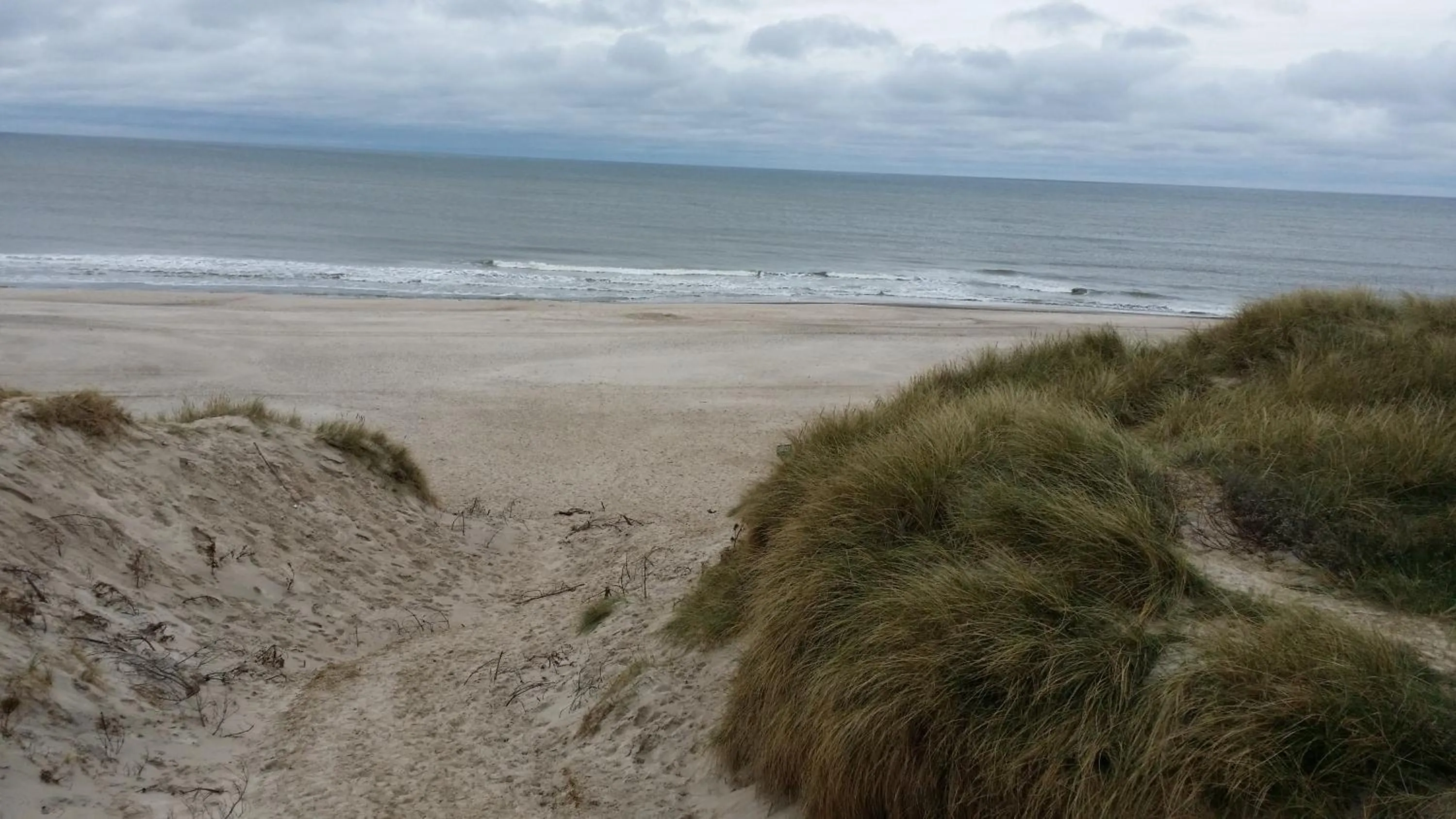 Beach in B&B Villa Filsø