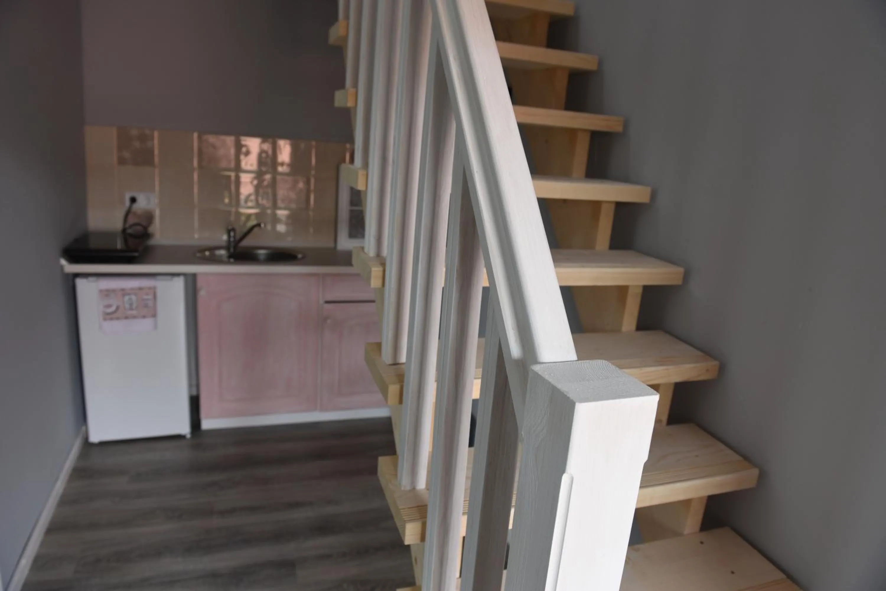 Kitchen or kitchenette in Guest House Romantika Panzio