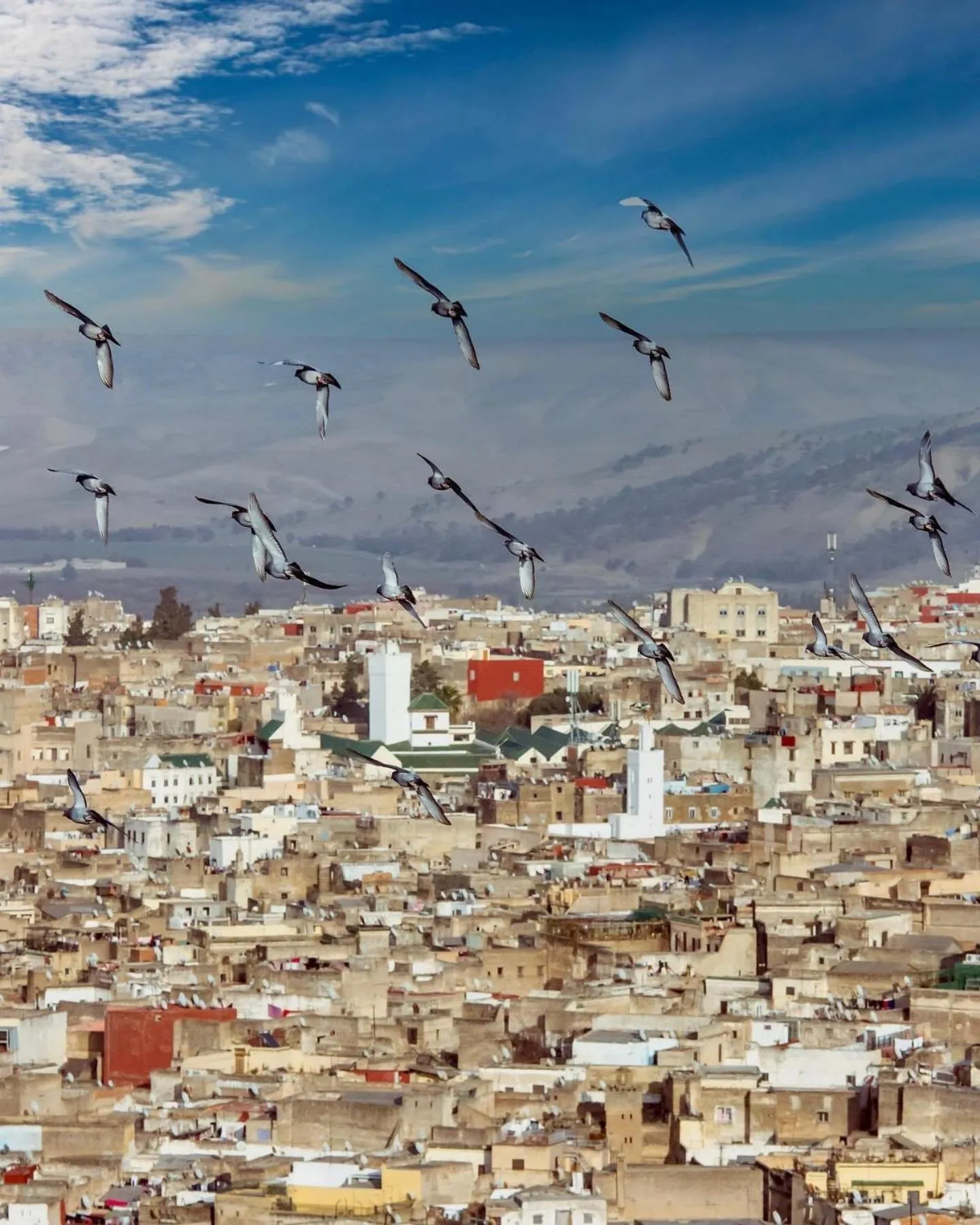 Patio in Riad Dar Tahri & SPA