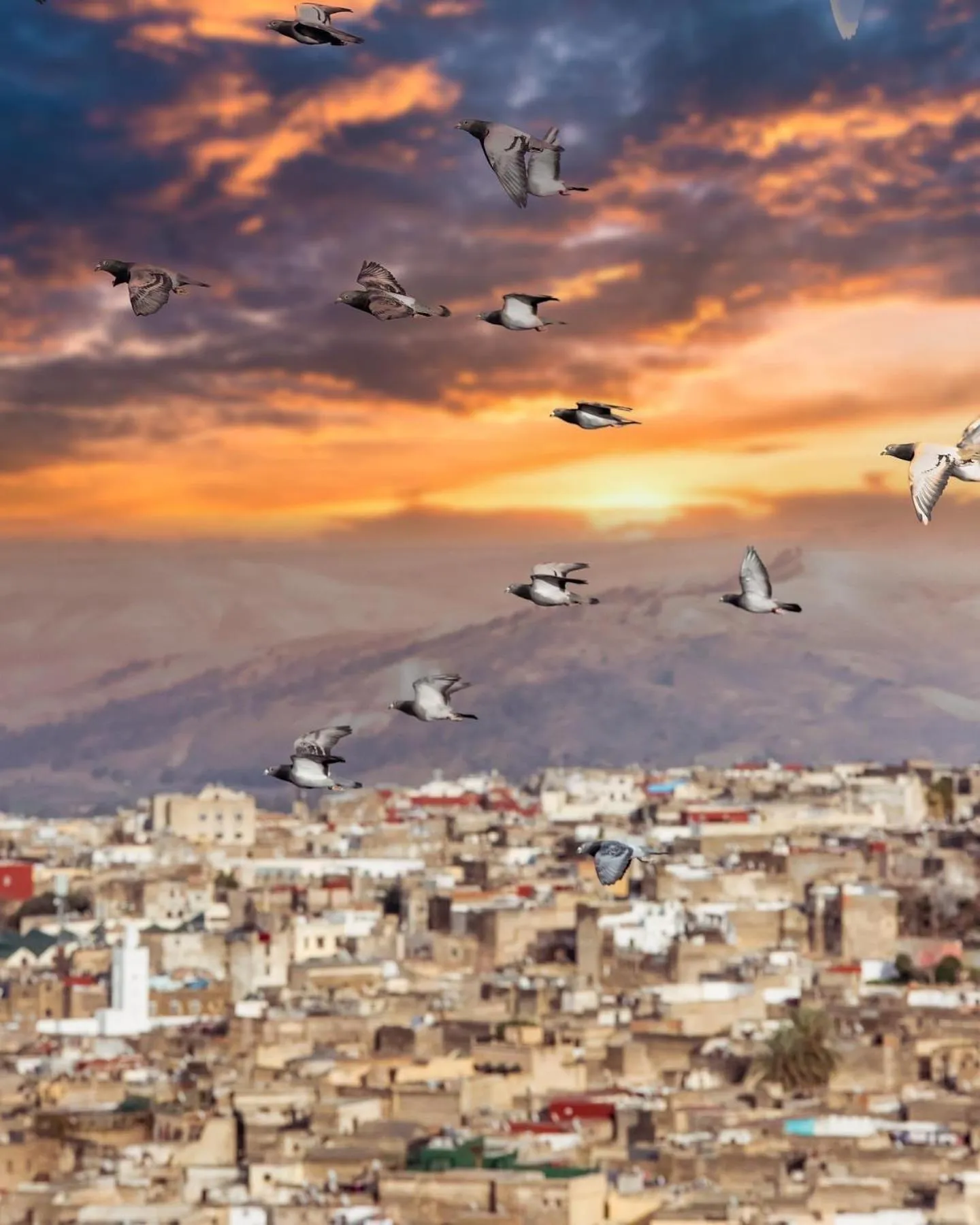 Patio in Riad Dar Tahri & SPA