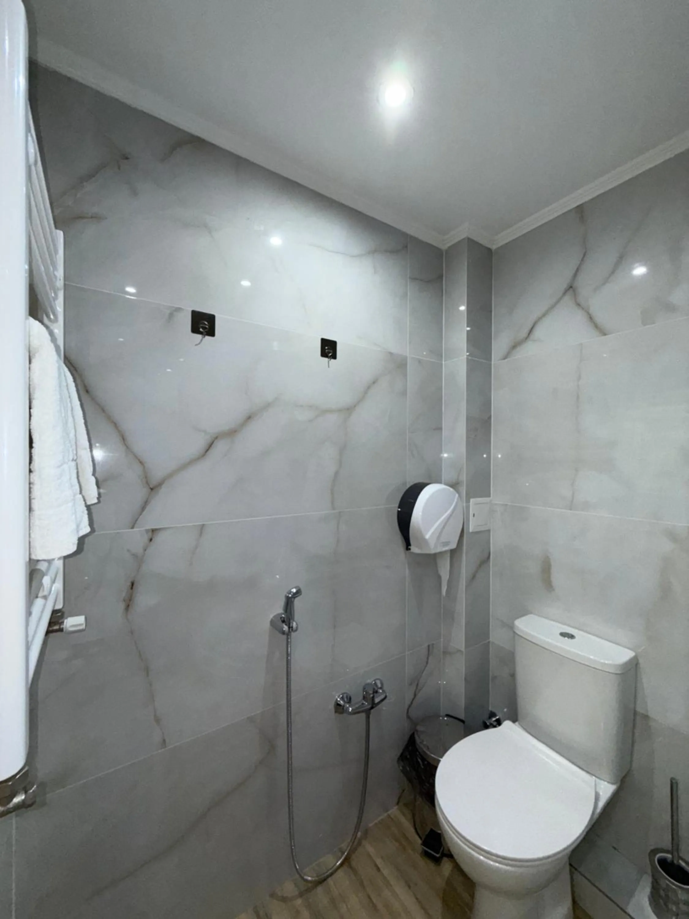 Toilet in Hotel Kalyan & Spa