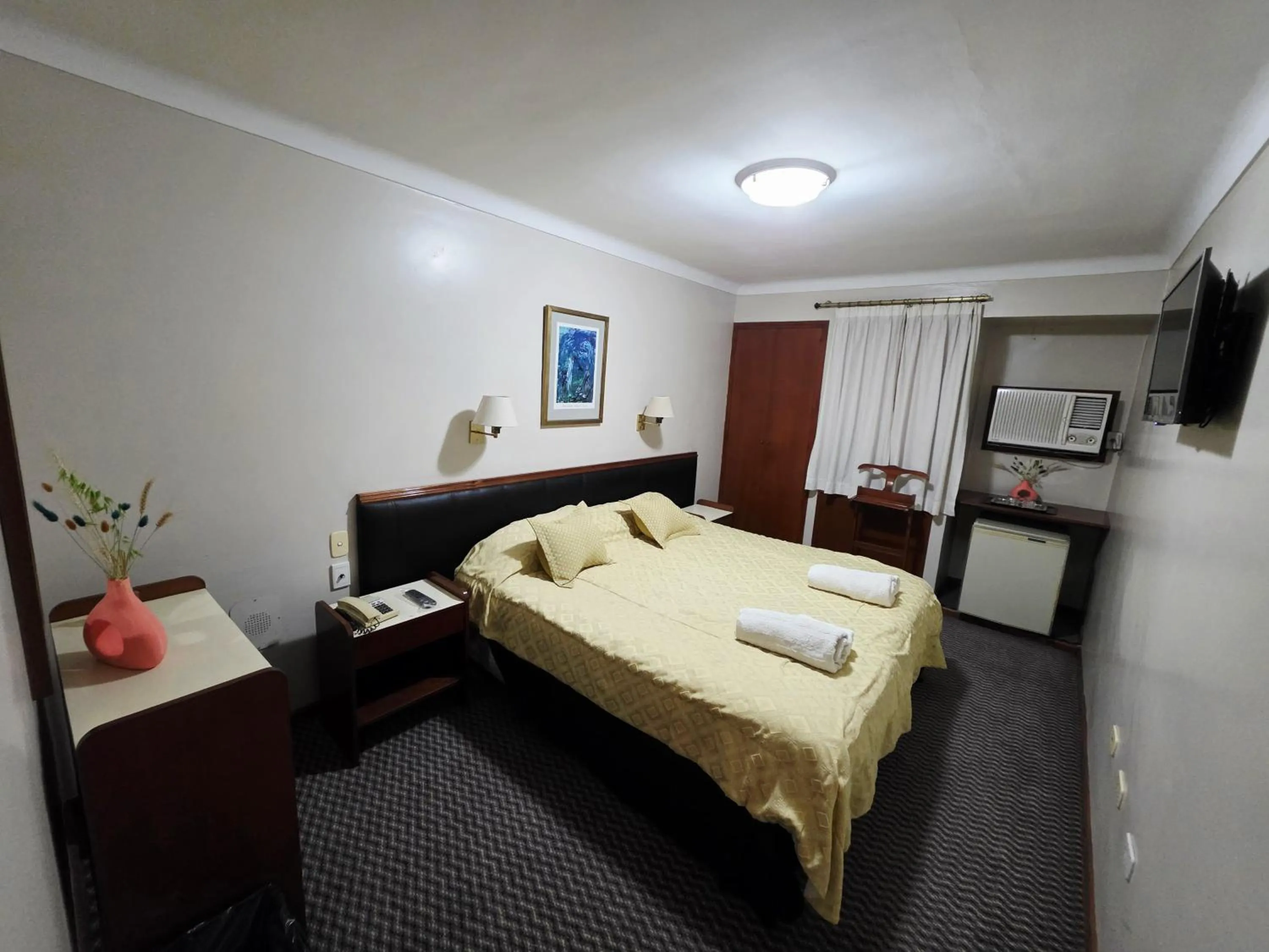 Double Room with Private Bathroom - single occupancy in Hotel Presidente