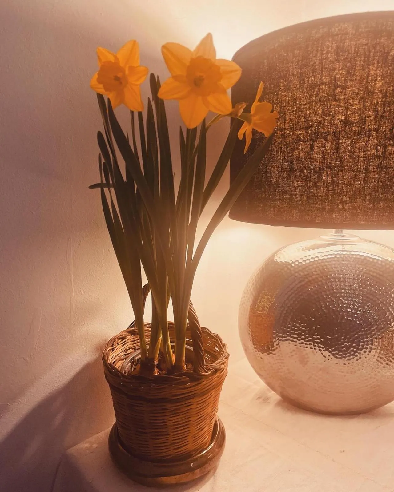 Decorative detail in Casa Mona Turismo de Interior