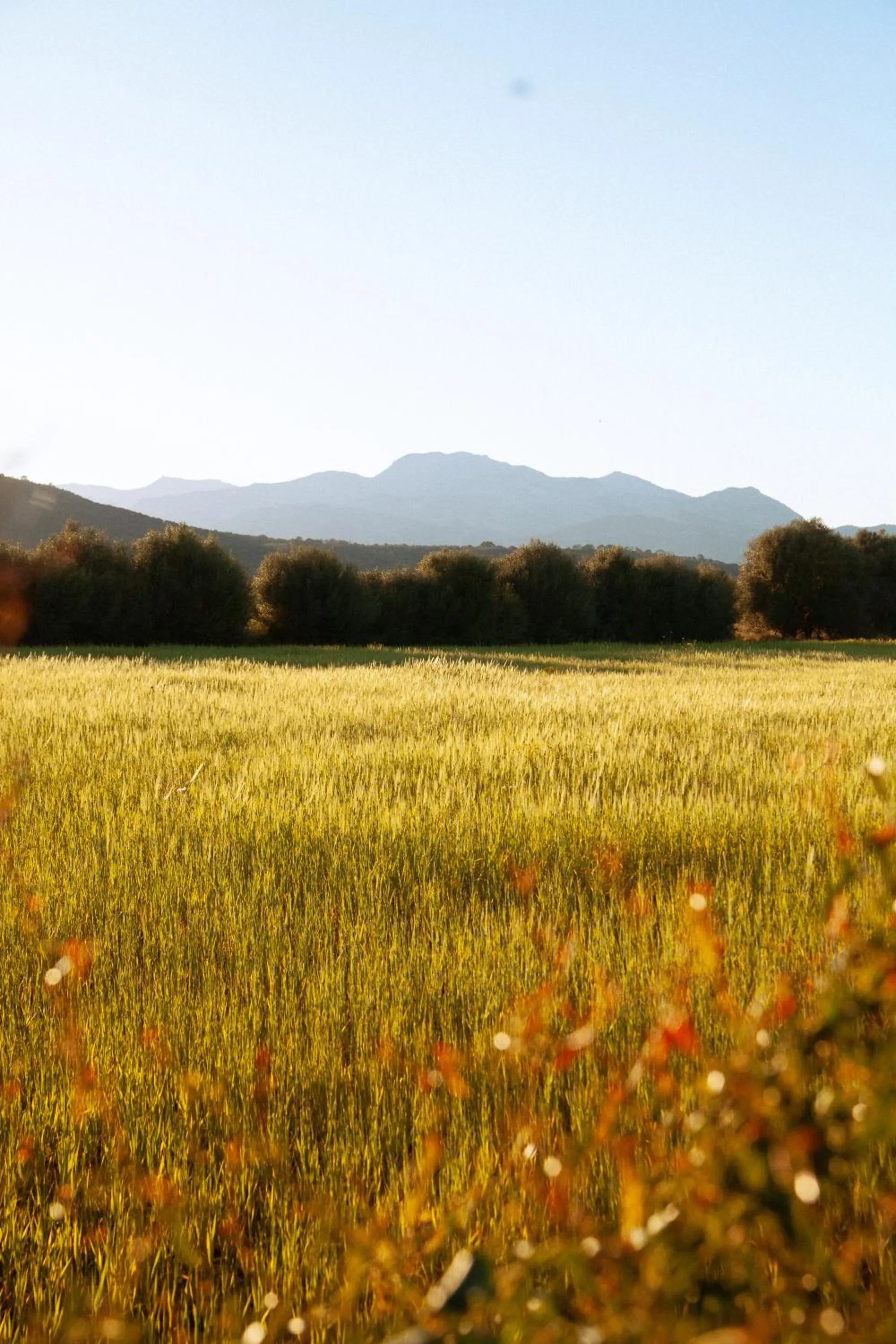 Casa Mona Turismo de Interior