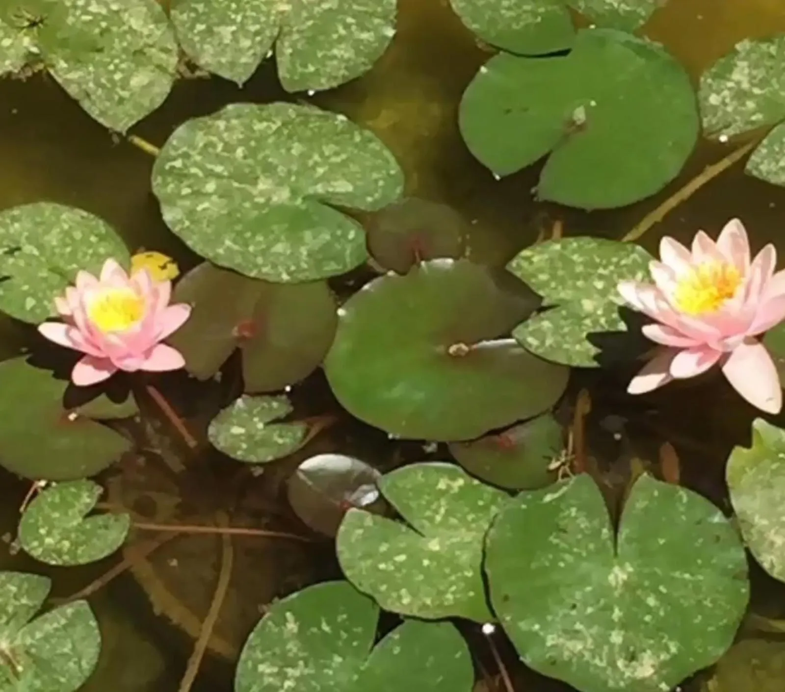 Casa Mona Turismo de Interior